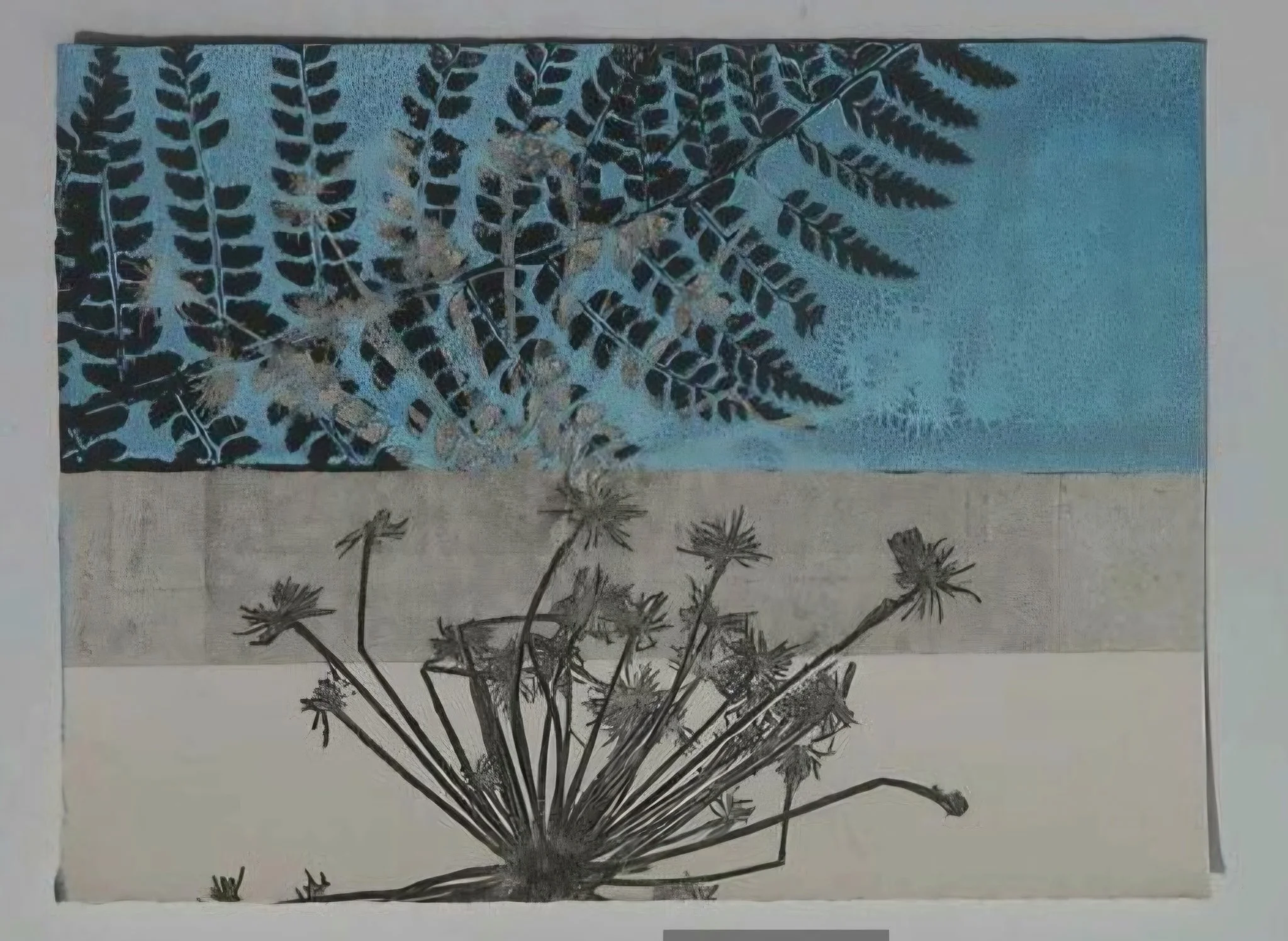 Botanical Monoprinting