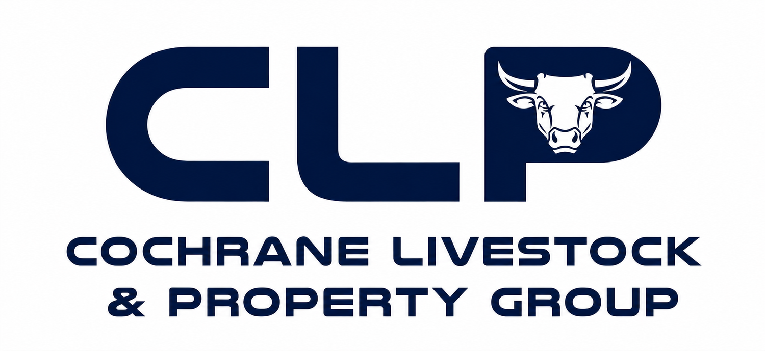 Main logo