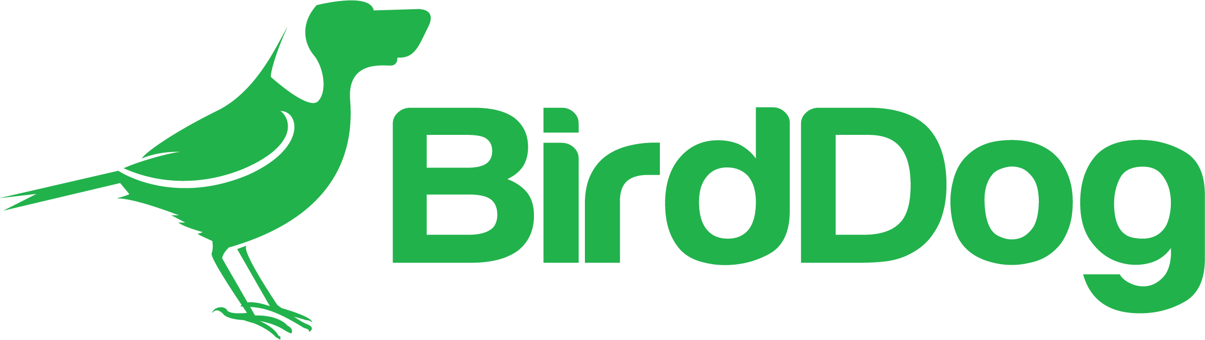 BirdDog makes high quality NDI hardware &amp; software solutions for IP video production.