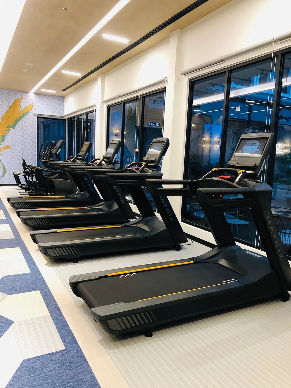 Iconic Marjorie Hotel AV System at Gym-4.jpg