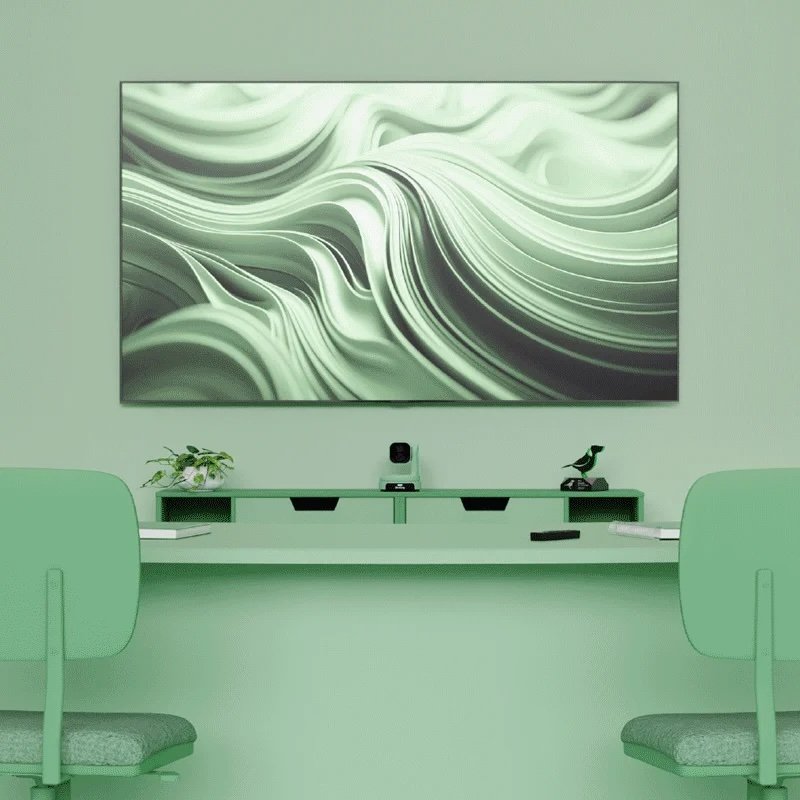 Birddog MAX Camera - green meeting room.jpg