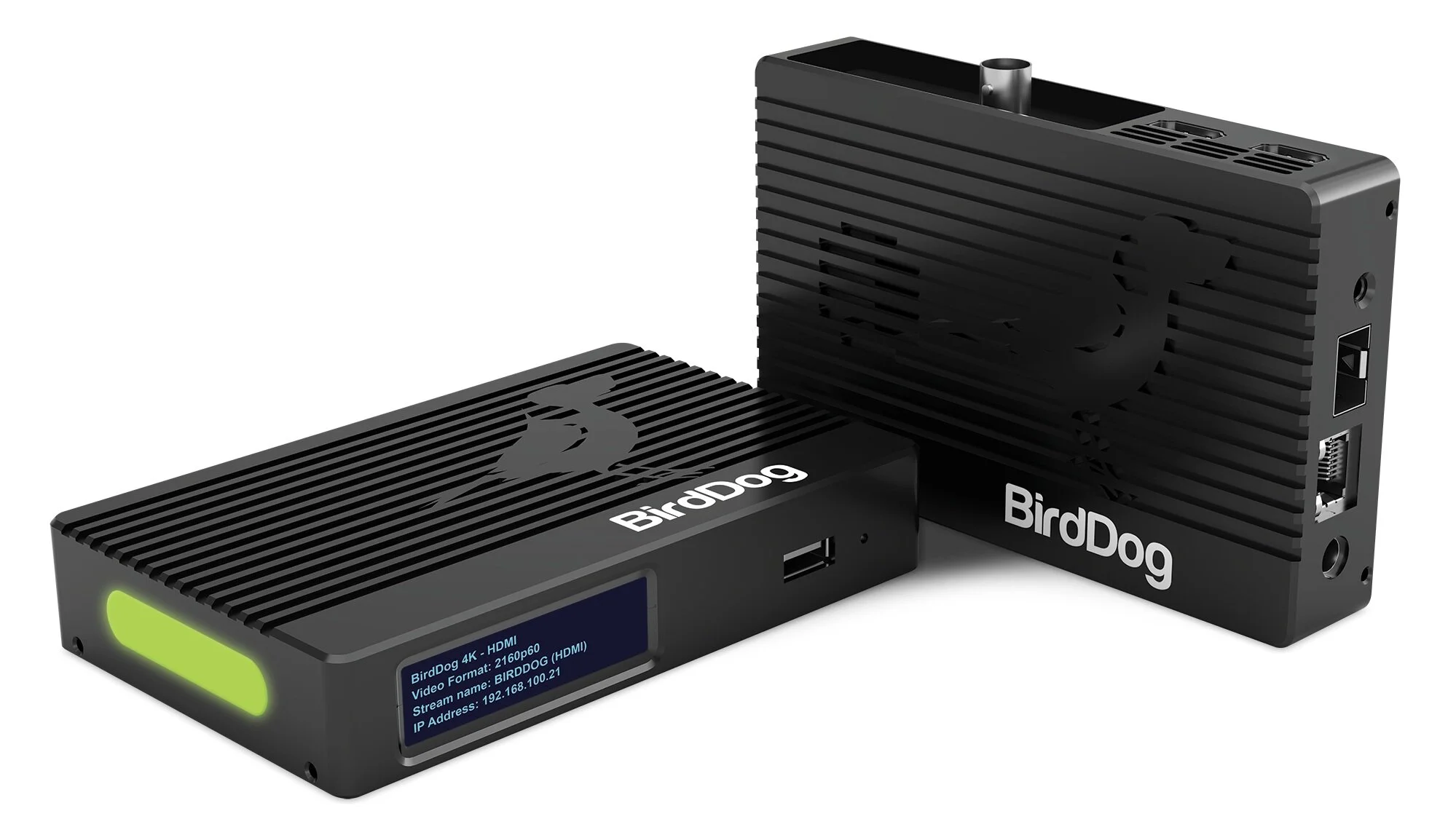 Birddog NDI Encoder &amp; Decoder