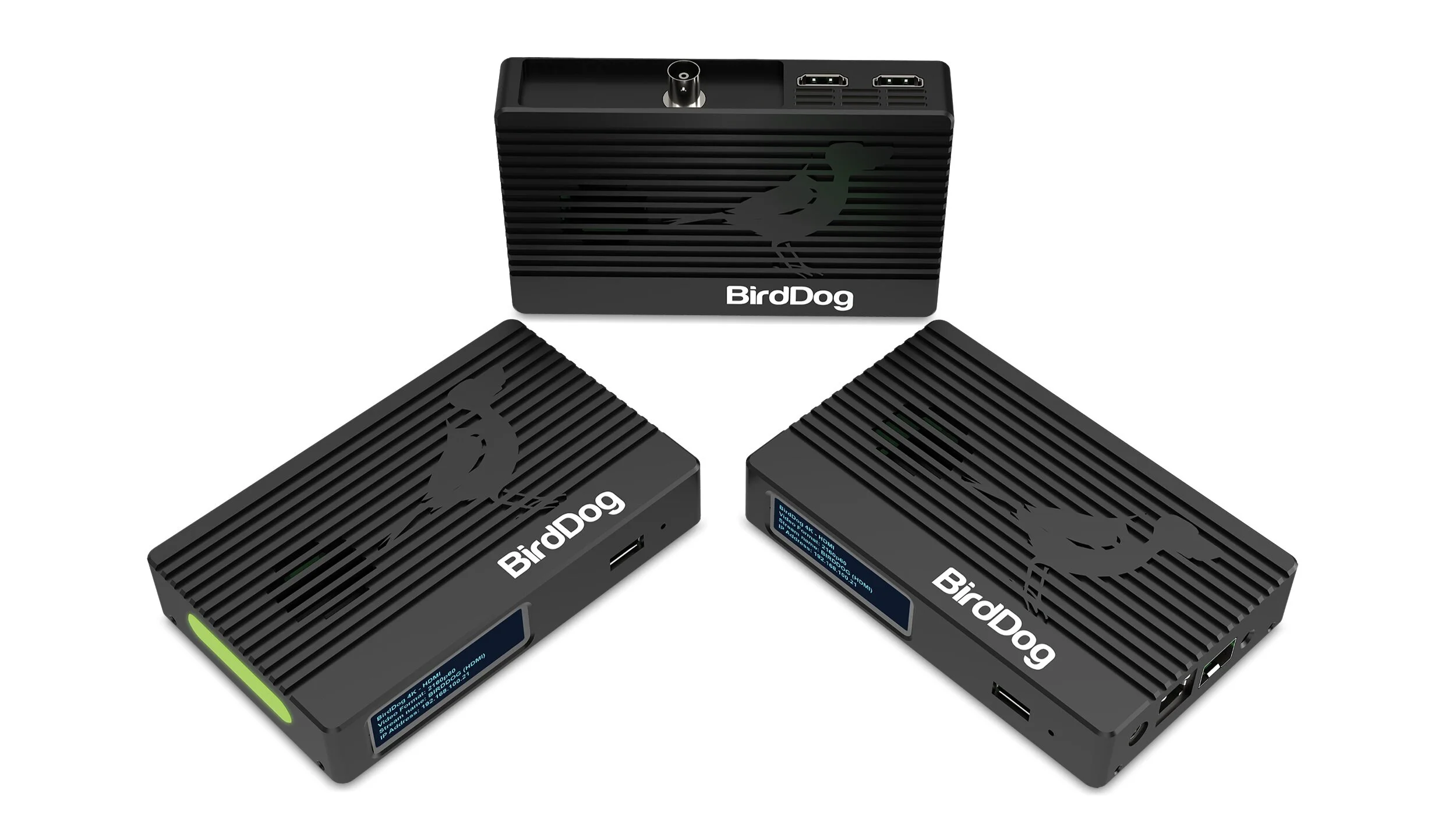 Birddog NDI Encoder &amp; Decoder