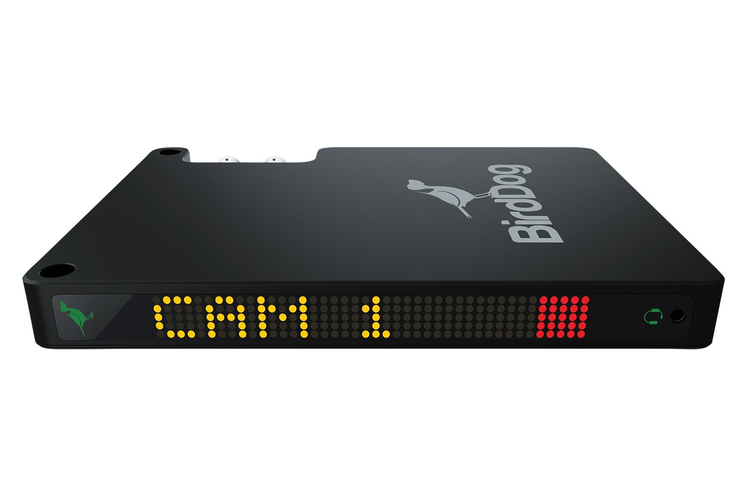 Birddog Studio NDI Encoder &amp; Decoder