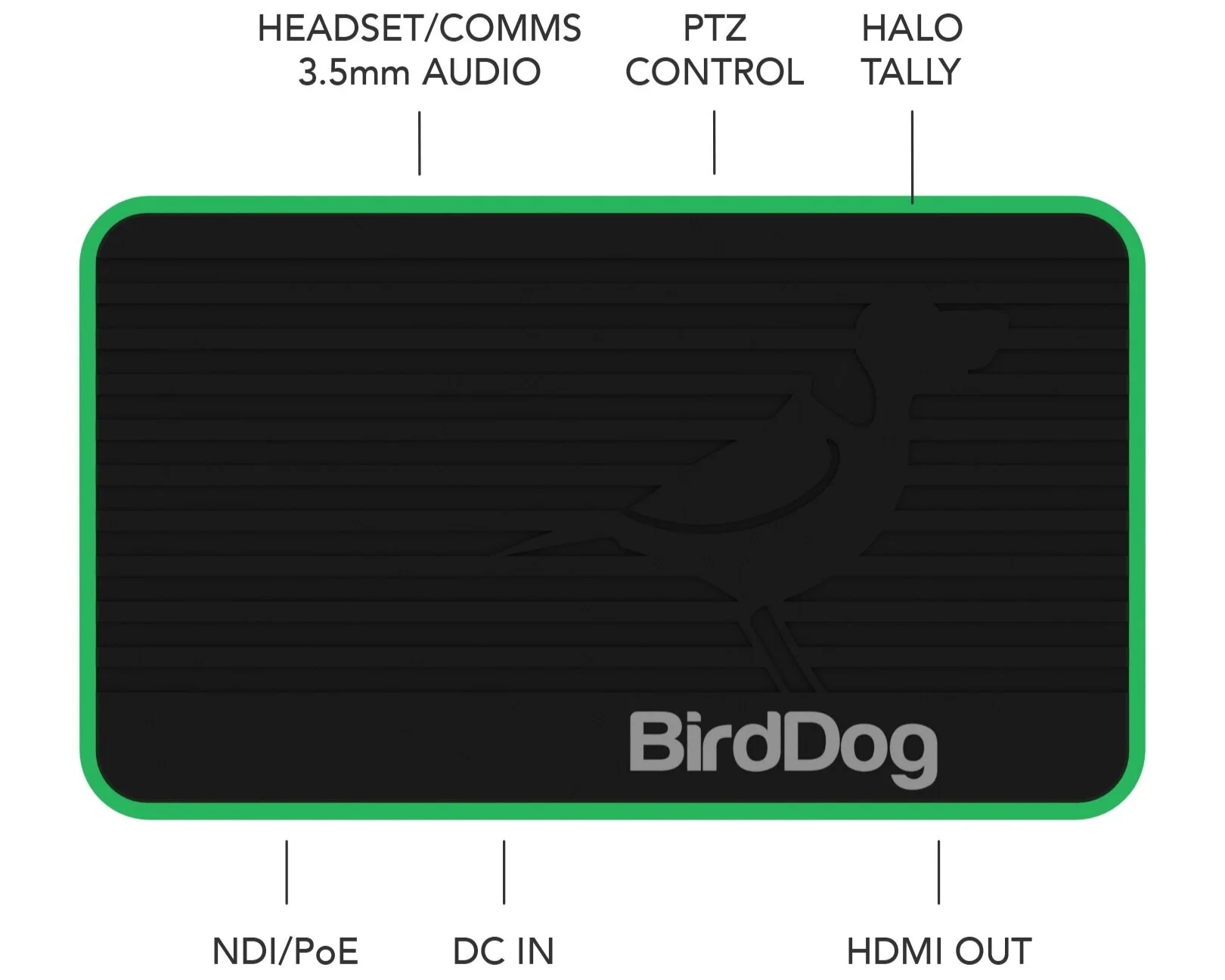 Birddog Mini NDI Encoder &amp; Decoder