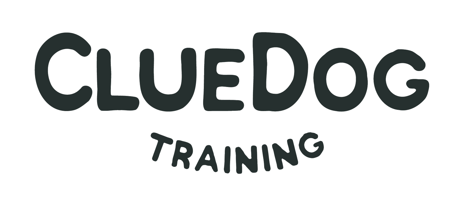 ClueDog Training