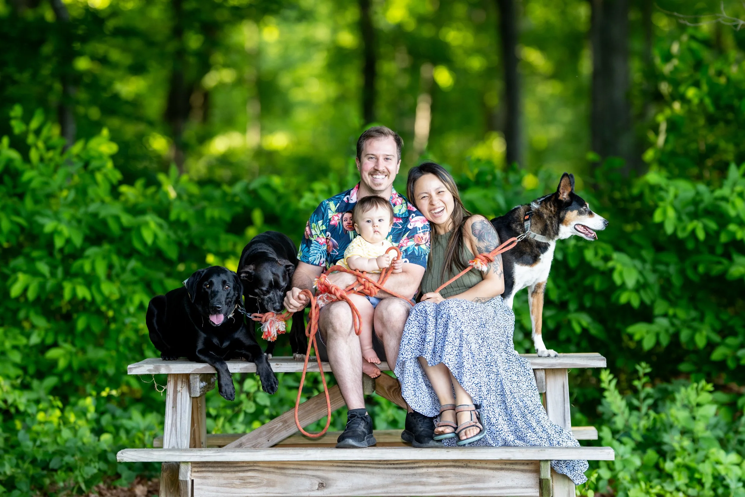 connecticut-in-home-family-session-living-room