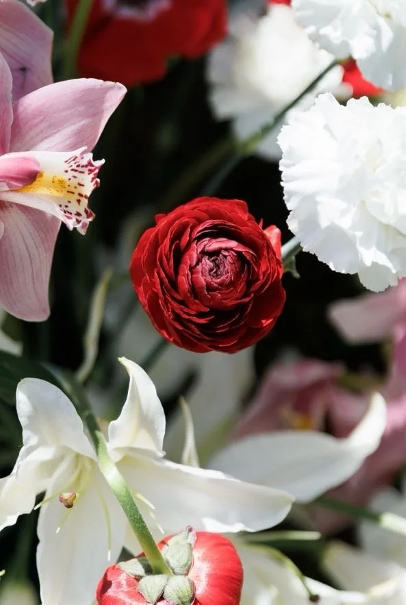 A bouquet of mixed flowers including a red ranunculus, white lilies, pink orchids, and white carnations.