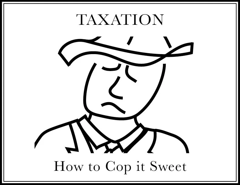 Taxation storybook