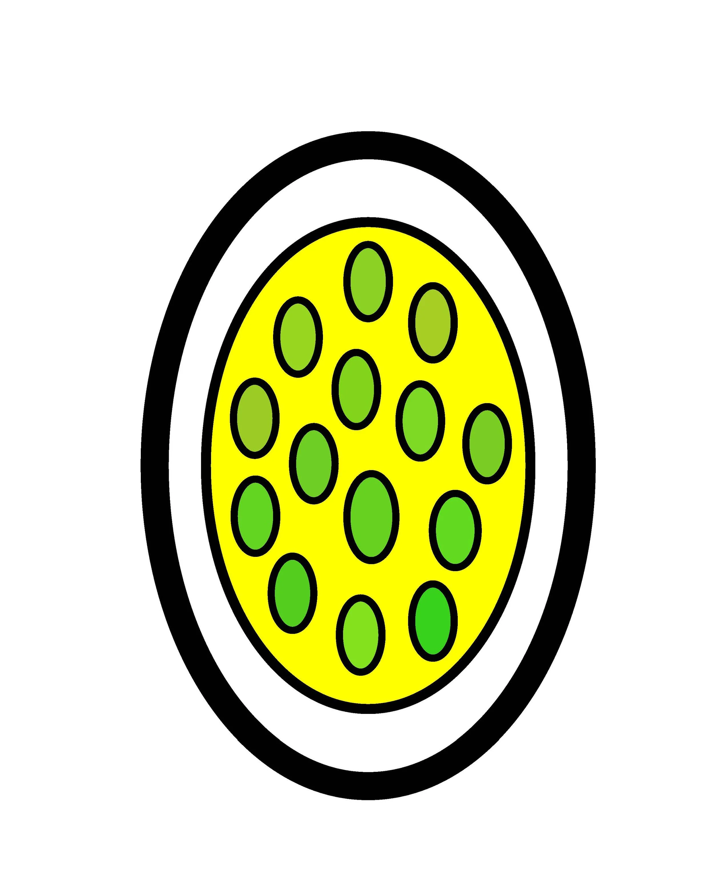 Passion Fruit illo PH#1.jpg