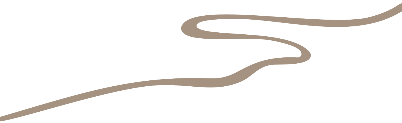 A stylized illustration of a winding brown path or river on a black background.