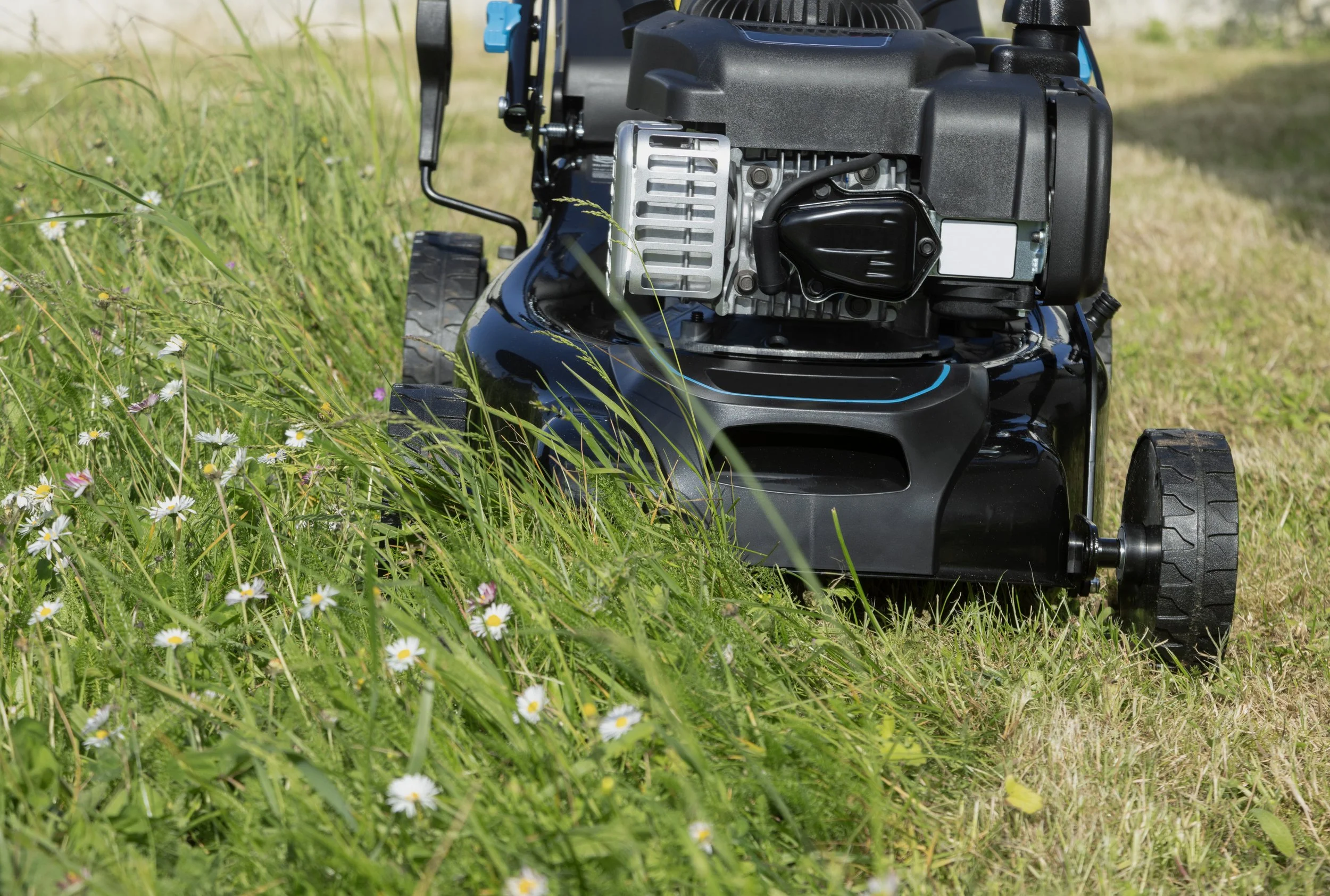 Close-up of a black and silver gas-powered lawn mower on a grassy field with small white and purple flowers.