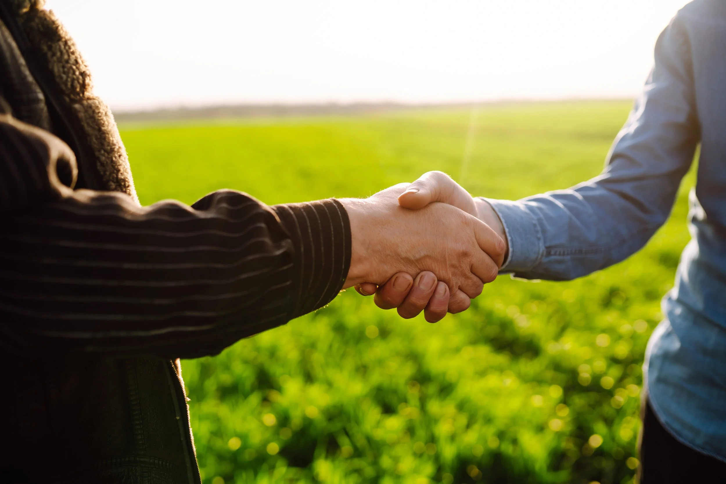 Two people shaking hands outdoors in a green field with sunlight in the background.