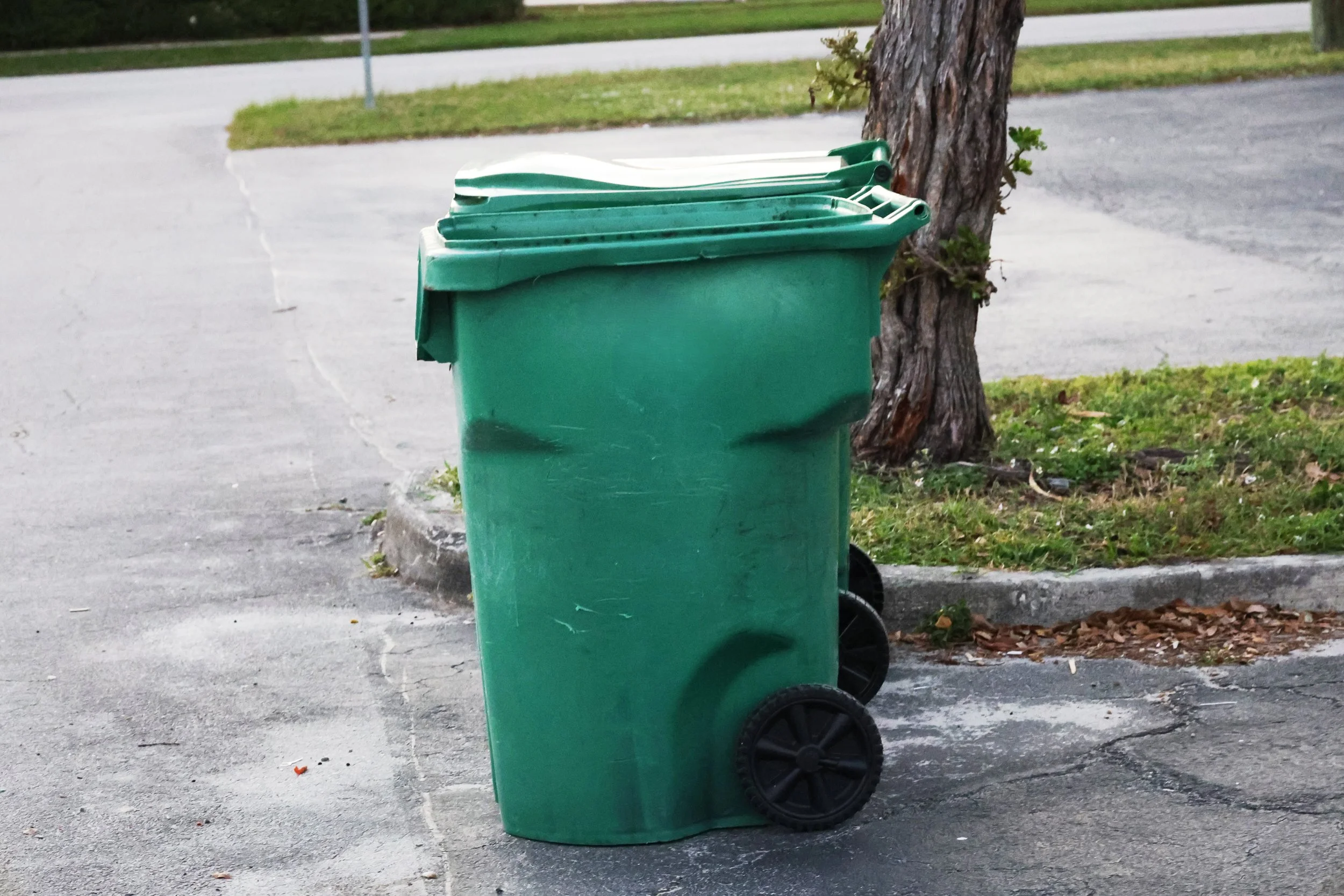 A green trash and recycling bin with the lid open, placed on a concrete sidewalk next to a tree and grassy area.