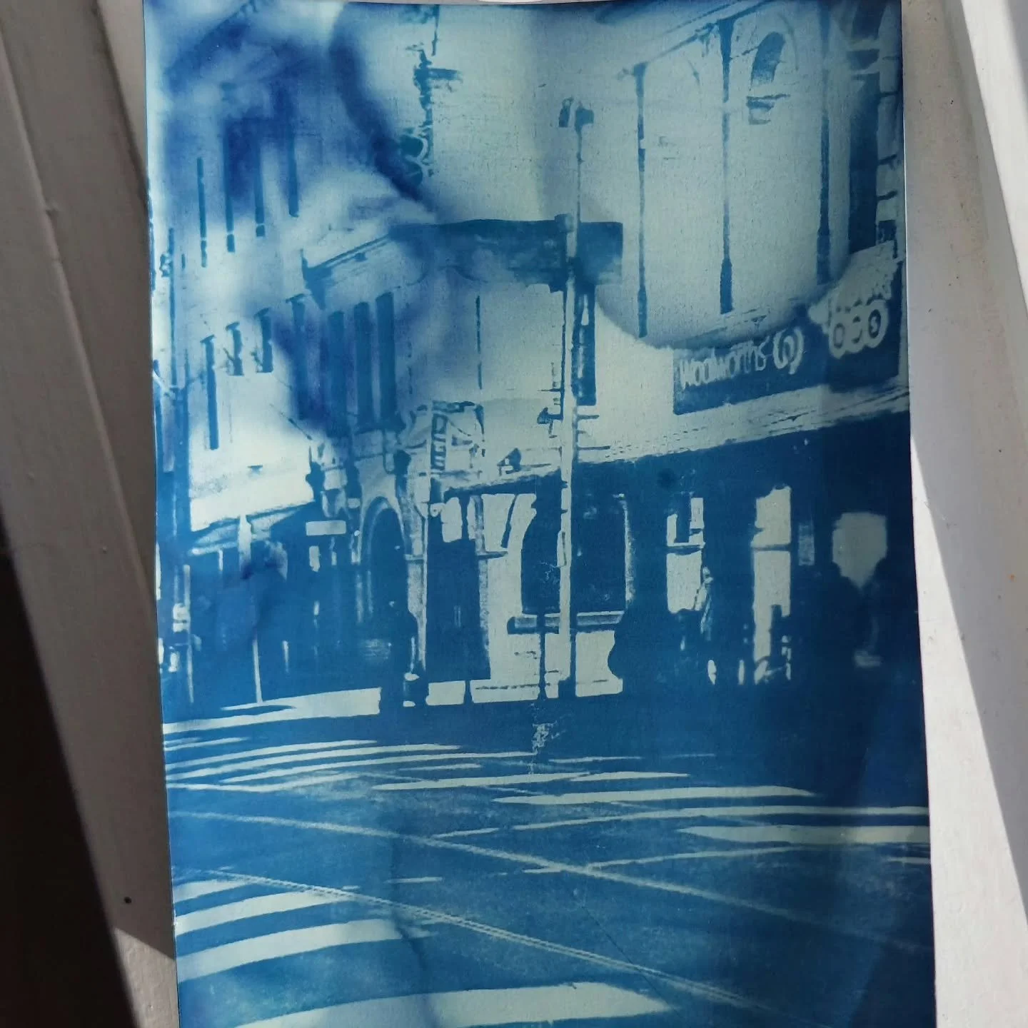 Cyanotype of a woolworths 
#art #melbourne