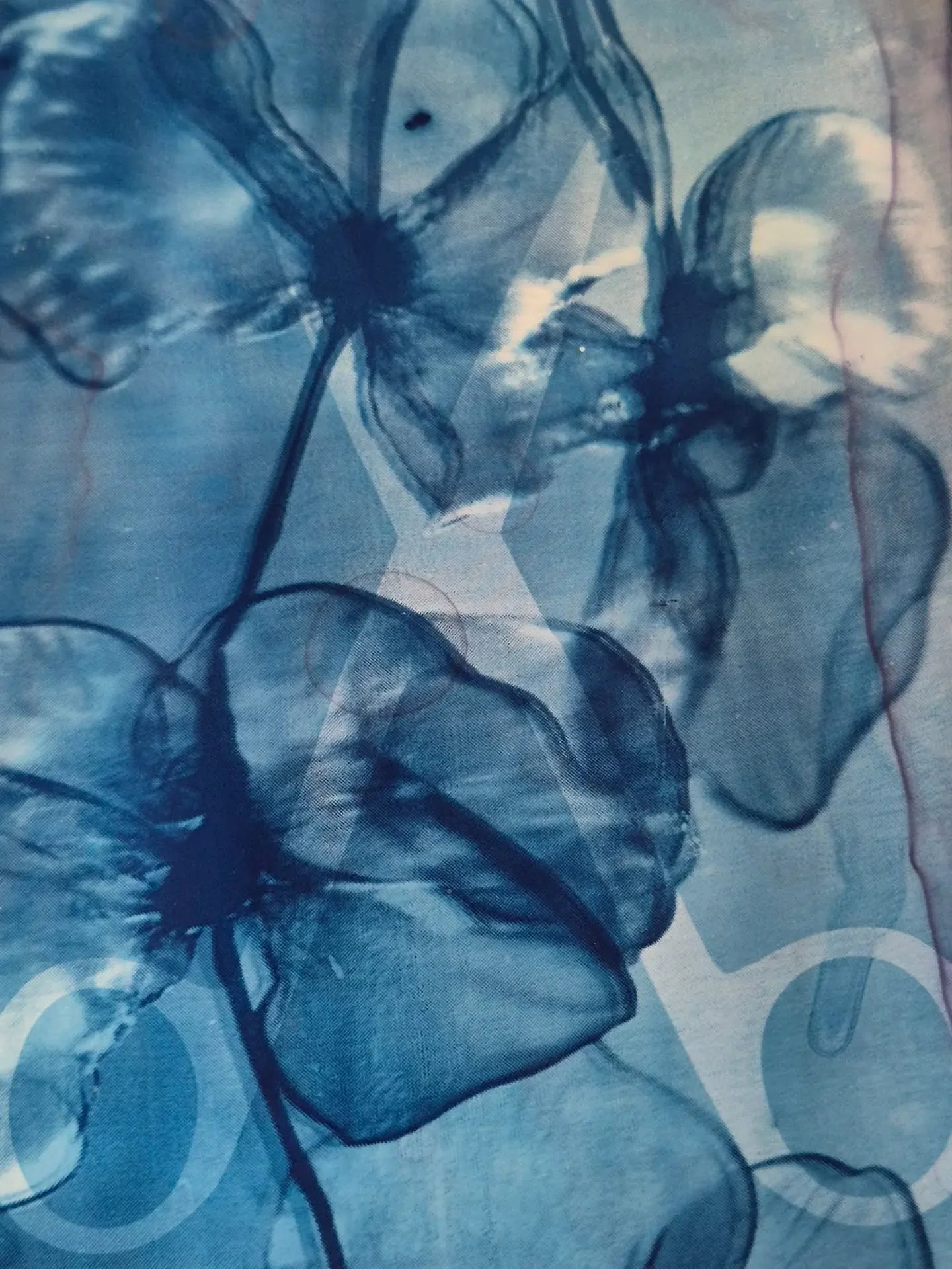 Cyanotype prints on glossy photography paper
#artgram #printmaking #artistic