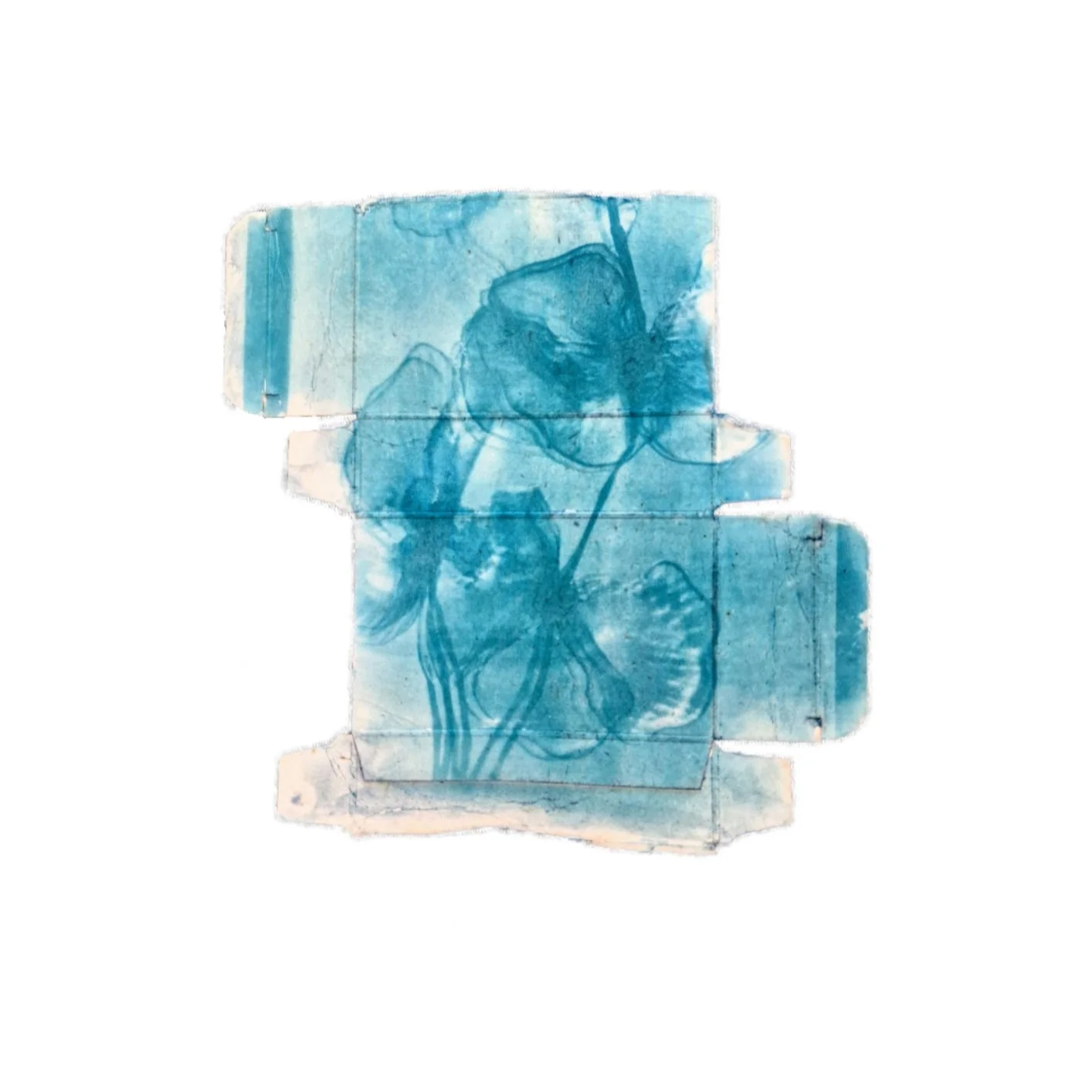 cyanotypes made form all pill boxs love how they turned out. 
#artofvisuals #cyanotype #art