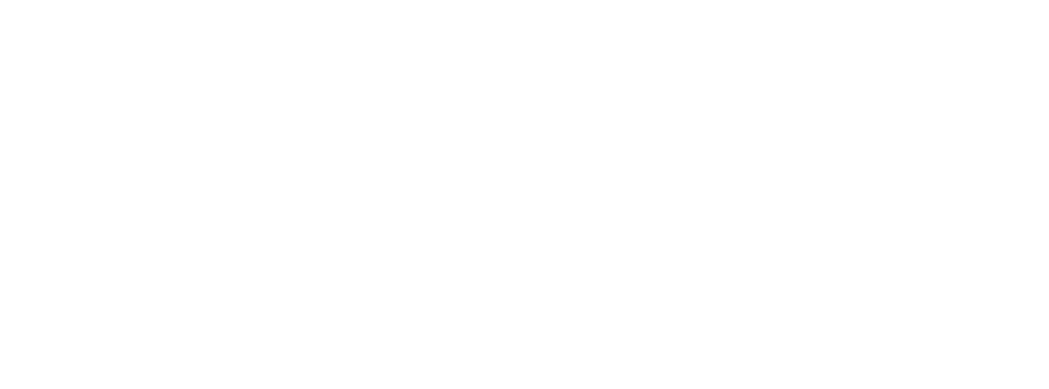 JoyRide Mobile Car Care
