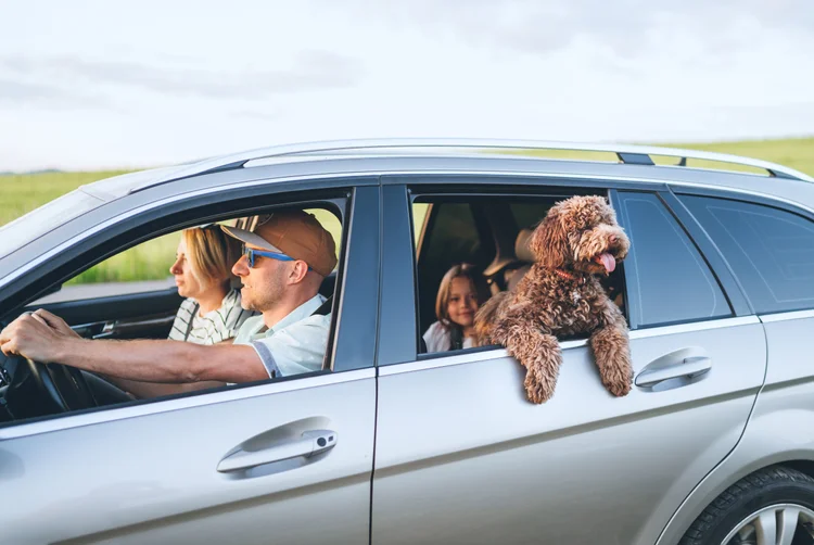 A family enjoying time together while their vehicle maintenance is handled