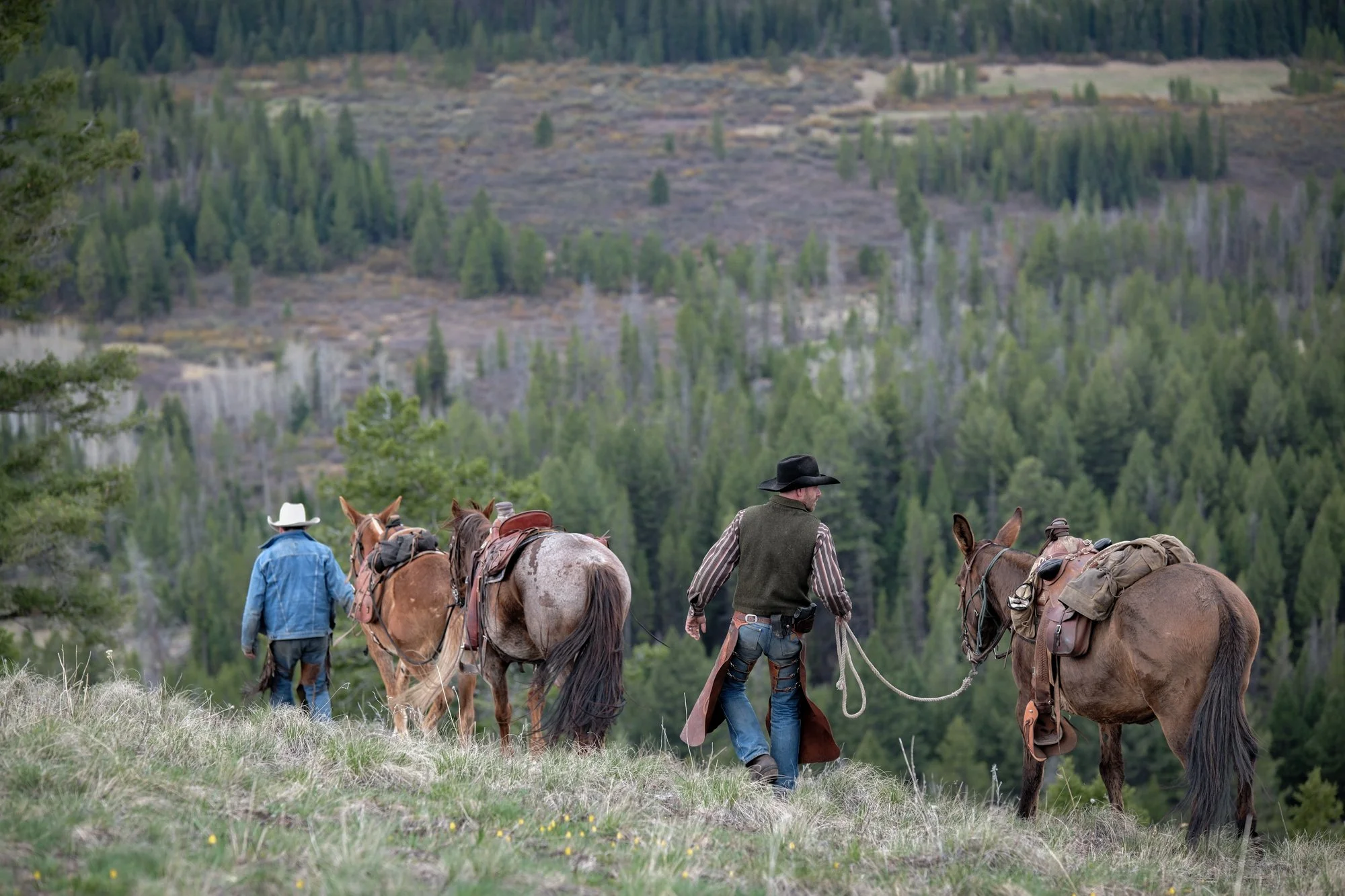 Two men leading horses through a grassy field in the Bob Marshall Wilderness with a forested mountain in the background. The men are wearing cowboy hats and casual Western-style clothing.
