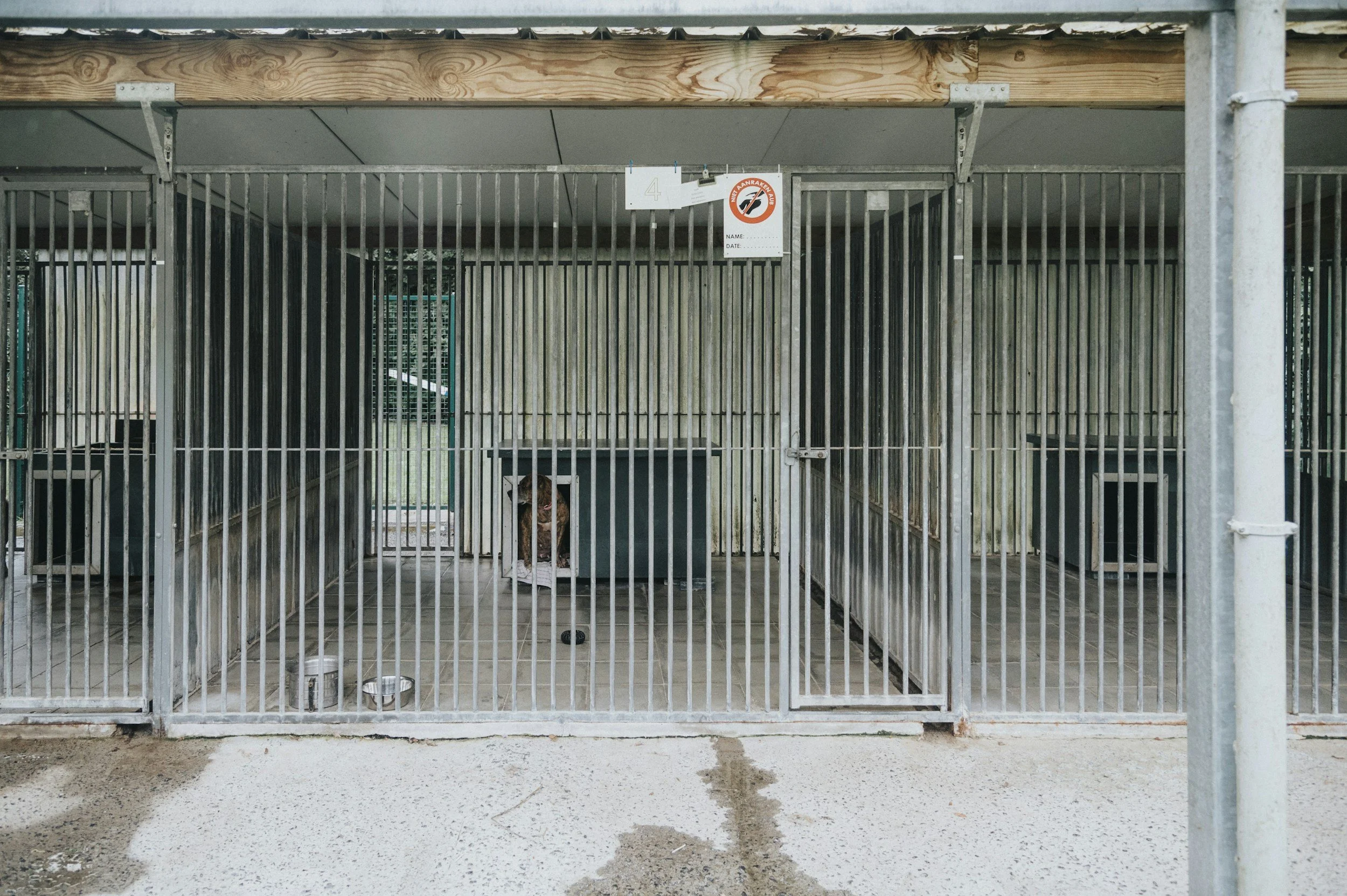 Partnering with a Shelter