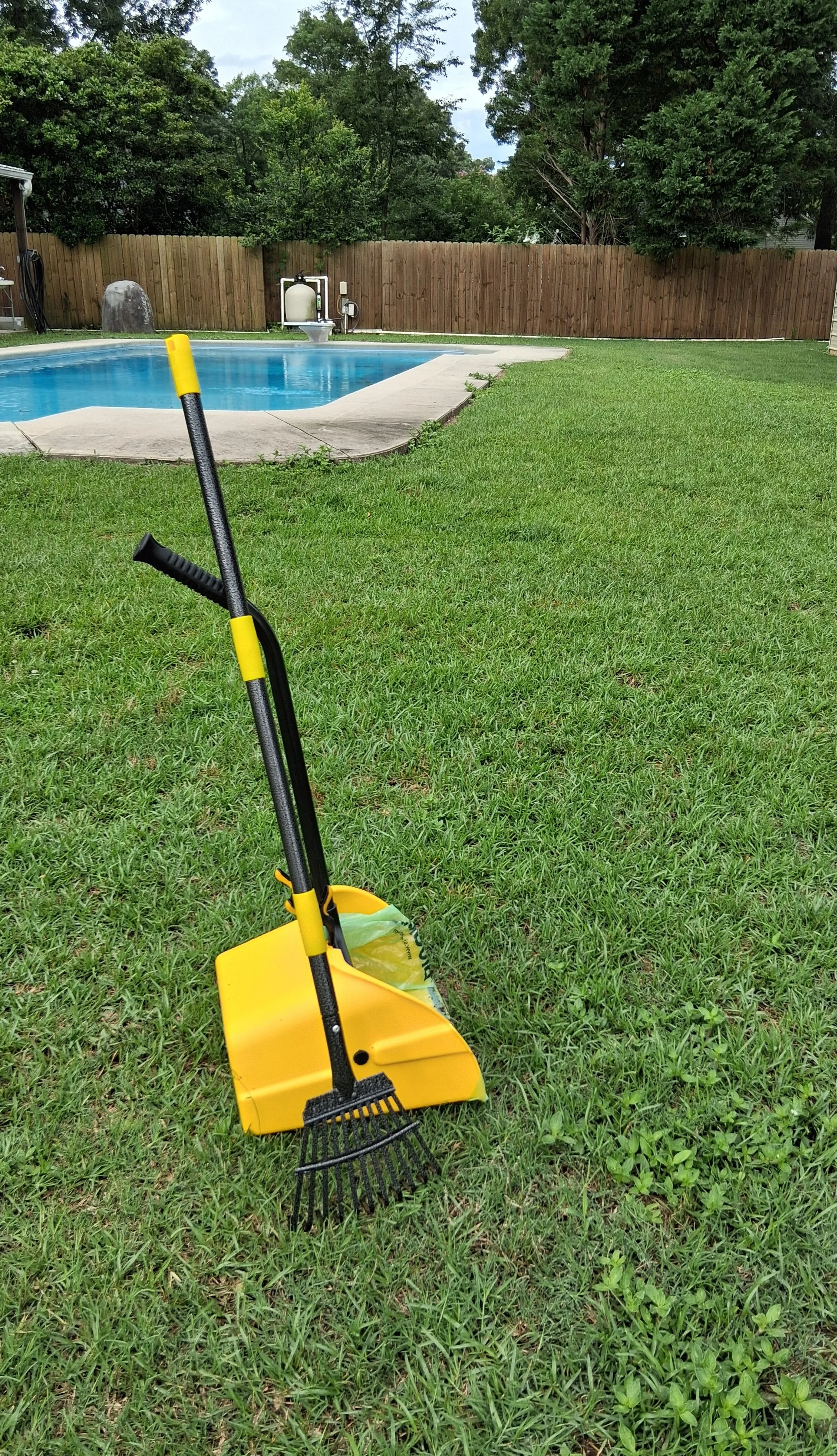 Is Dog Poop Really That Bad for Your Lawn?