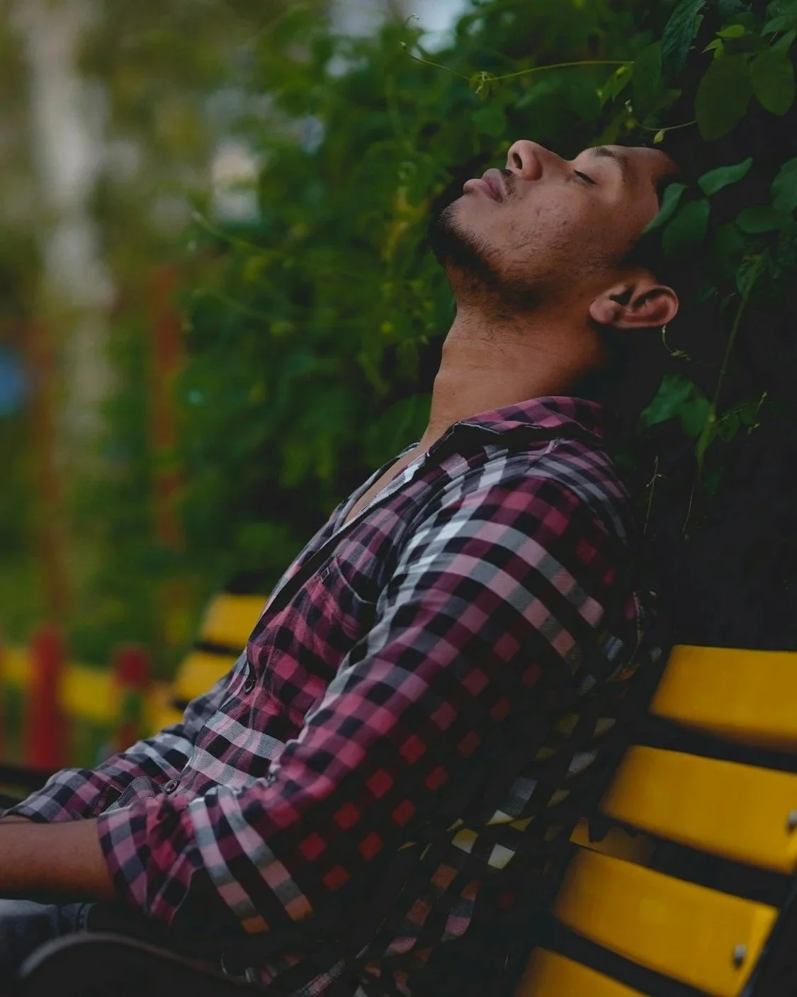 A young man with a beard and earrings, wearing a checkered shirt, sitting on a yellow park bench with his head resting against green foliage, eyes closed, appearing to be relaxed or sleeping.