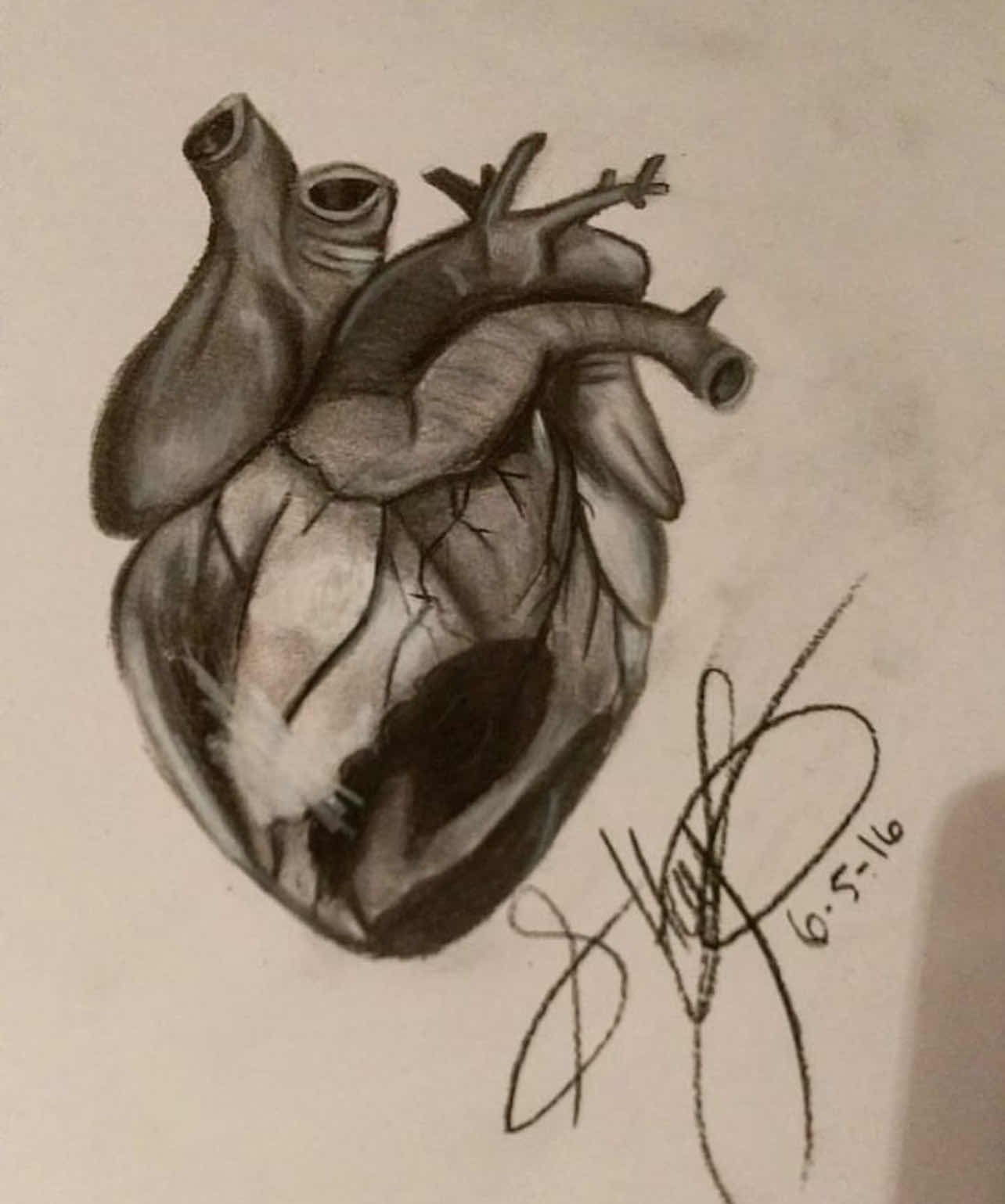 A detailed black and white drawing of a human heart, signed and dated 16.5.16, with a signature below and a plain background.