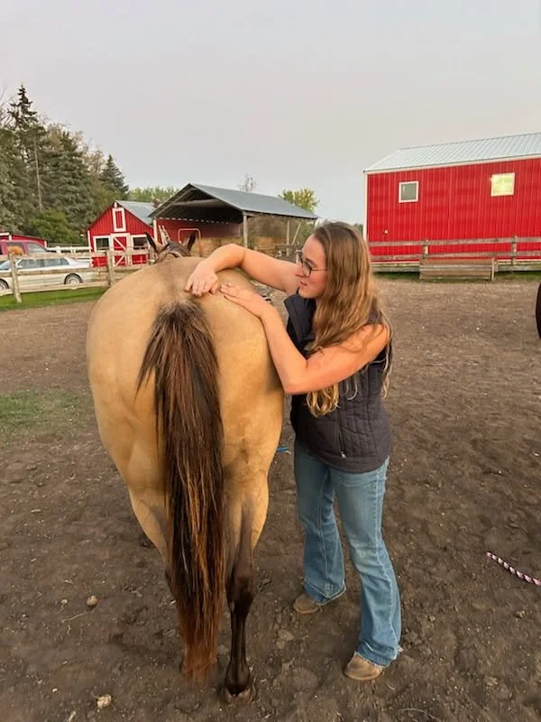 Lisa massaging a horse in a farmyard with red barns and trees in the background.