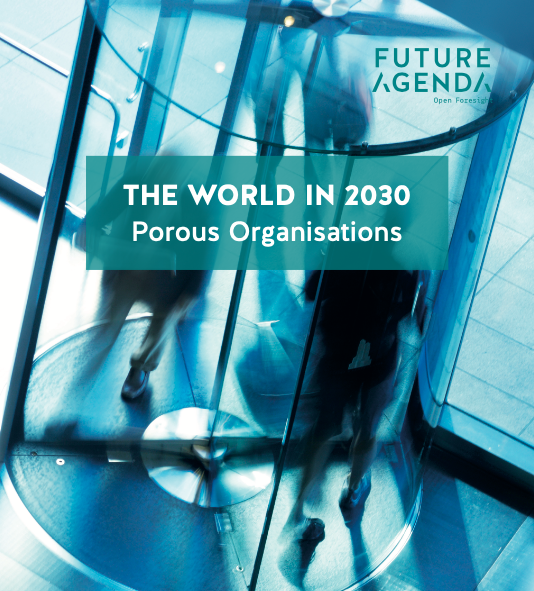 Porous Organizations (2030)