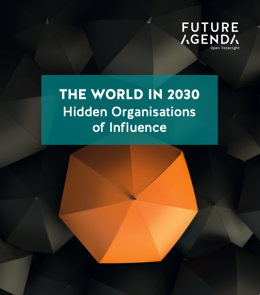 Hidden Organisations of Influence (2030) 