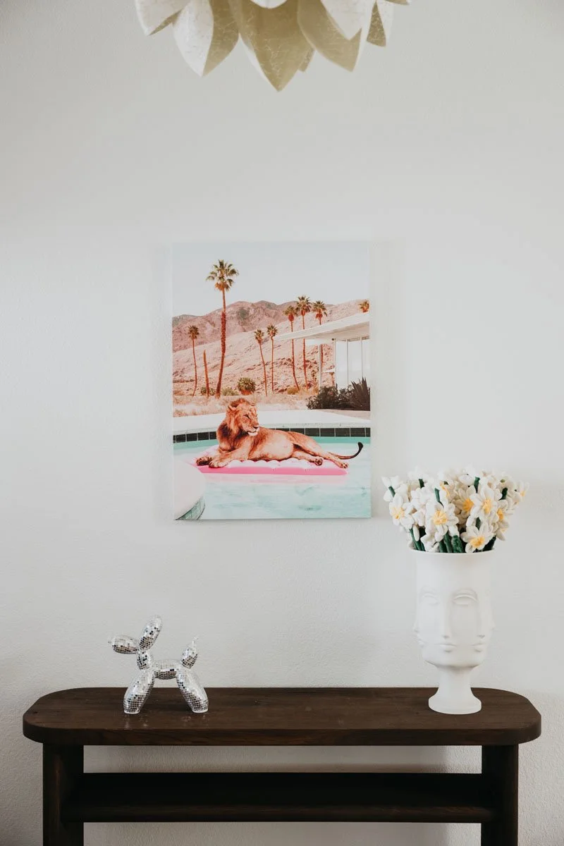 Palomino-20.jpg