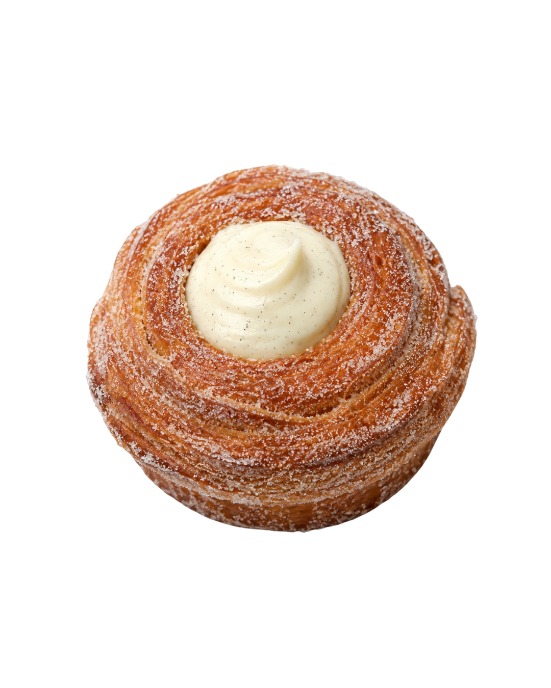 Morning Bun