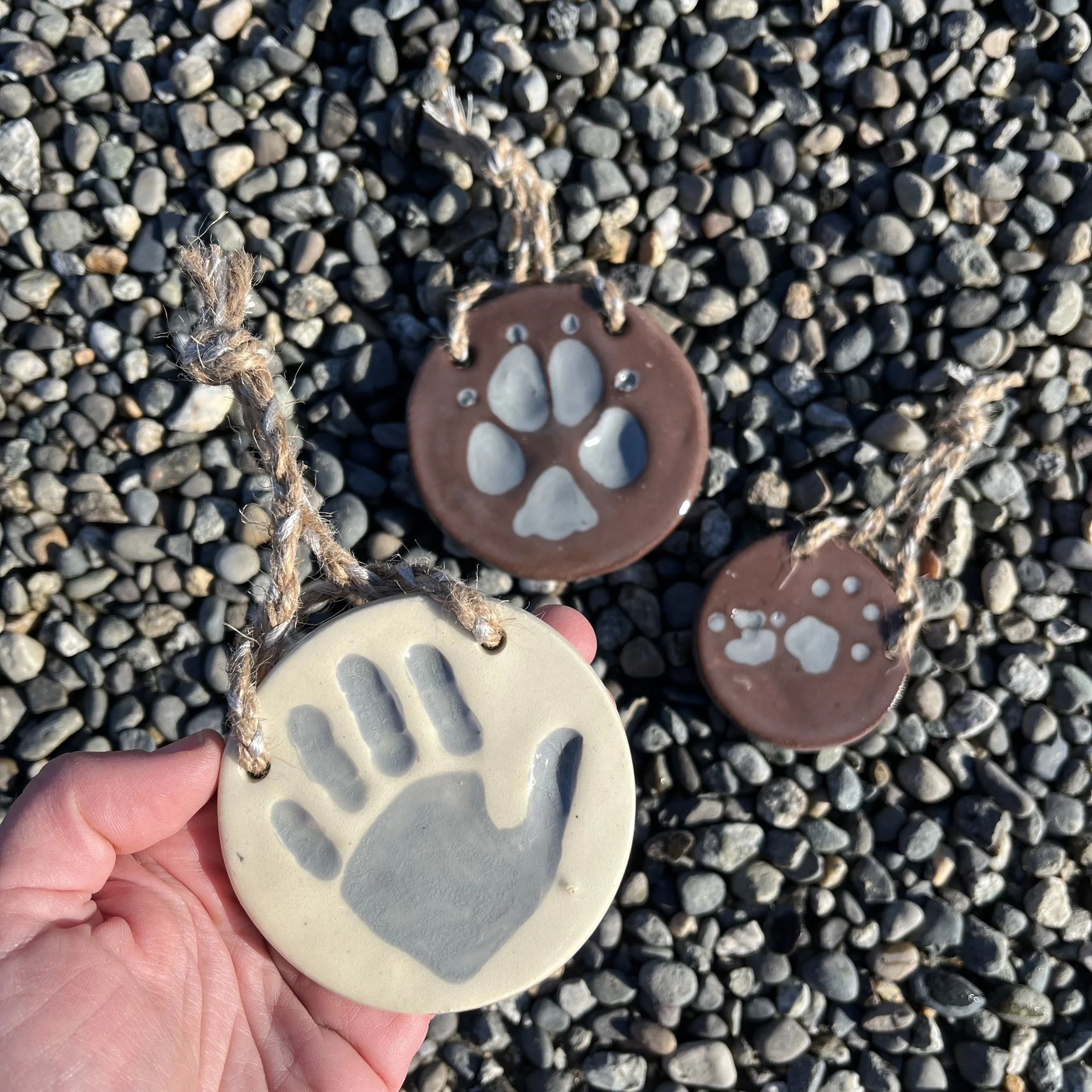 paws.jpg