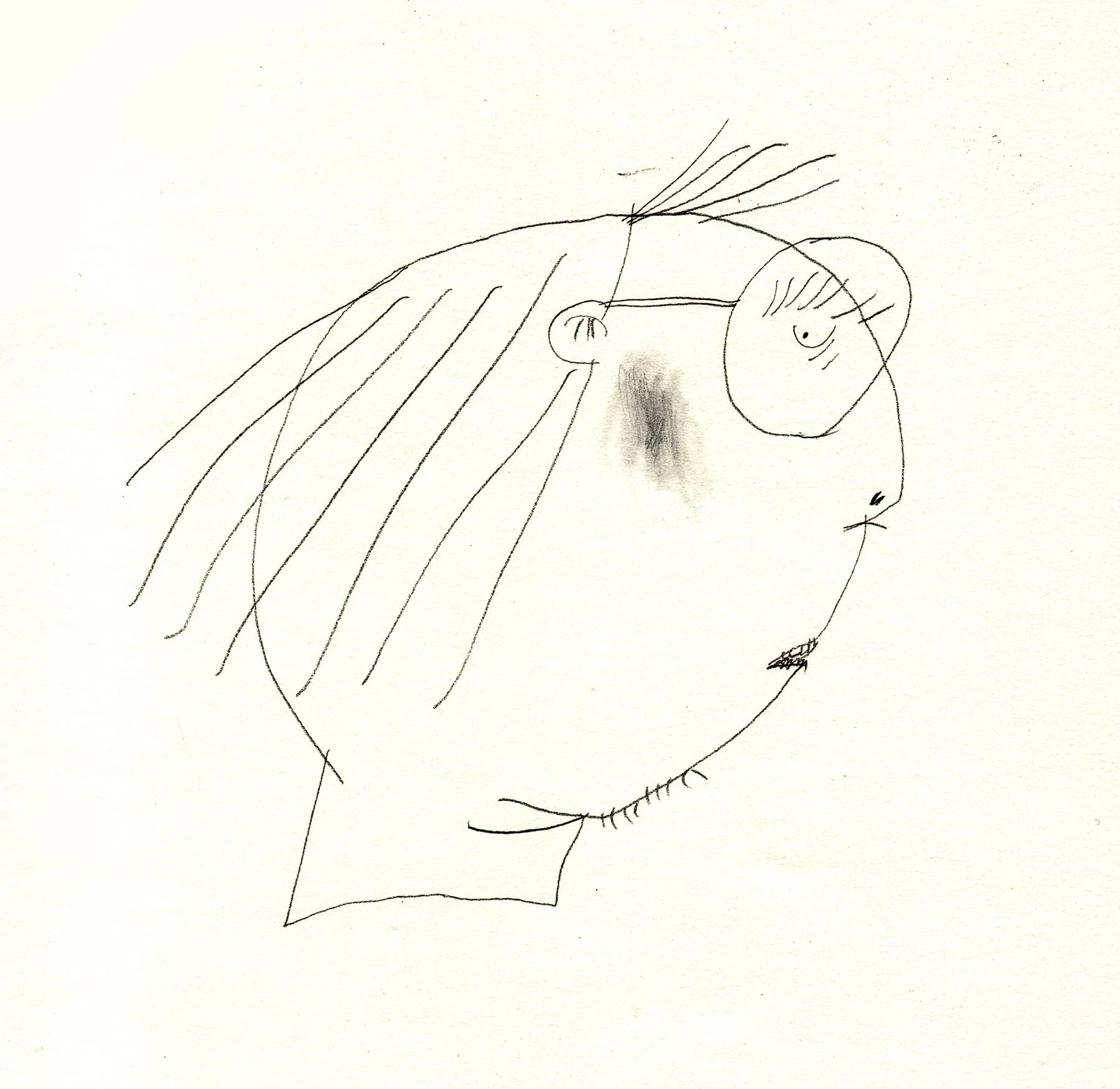 portrait_3.jpg