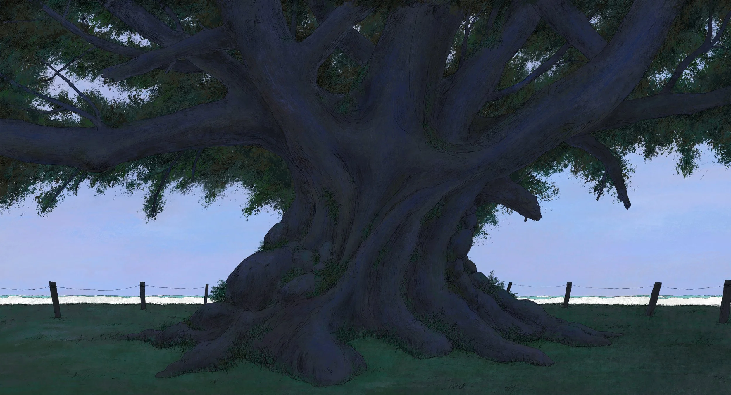 WR_SH170_BG_AQ_V002.jpg
