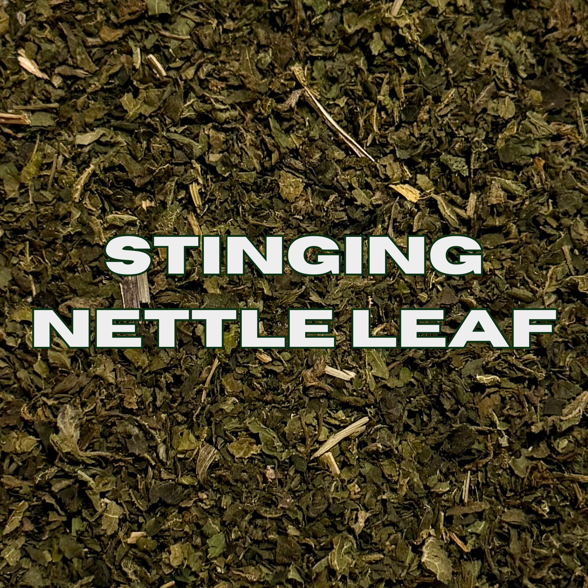 Stinging Nettle Leaf