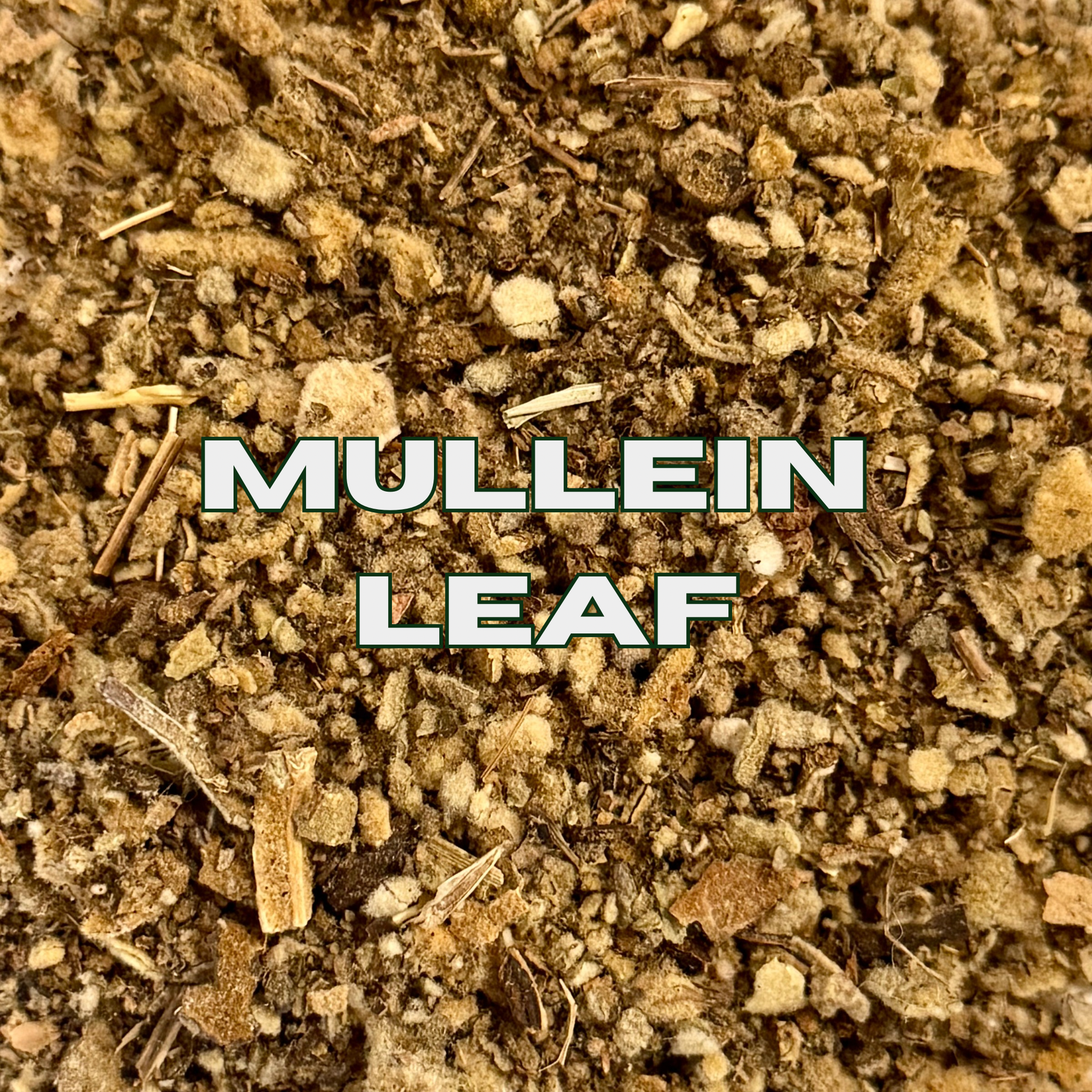 Mullein Leaf