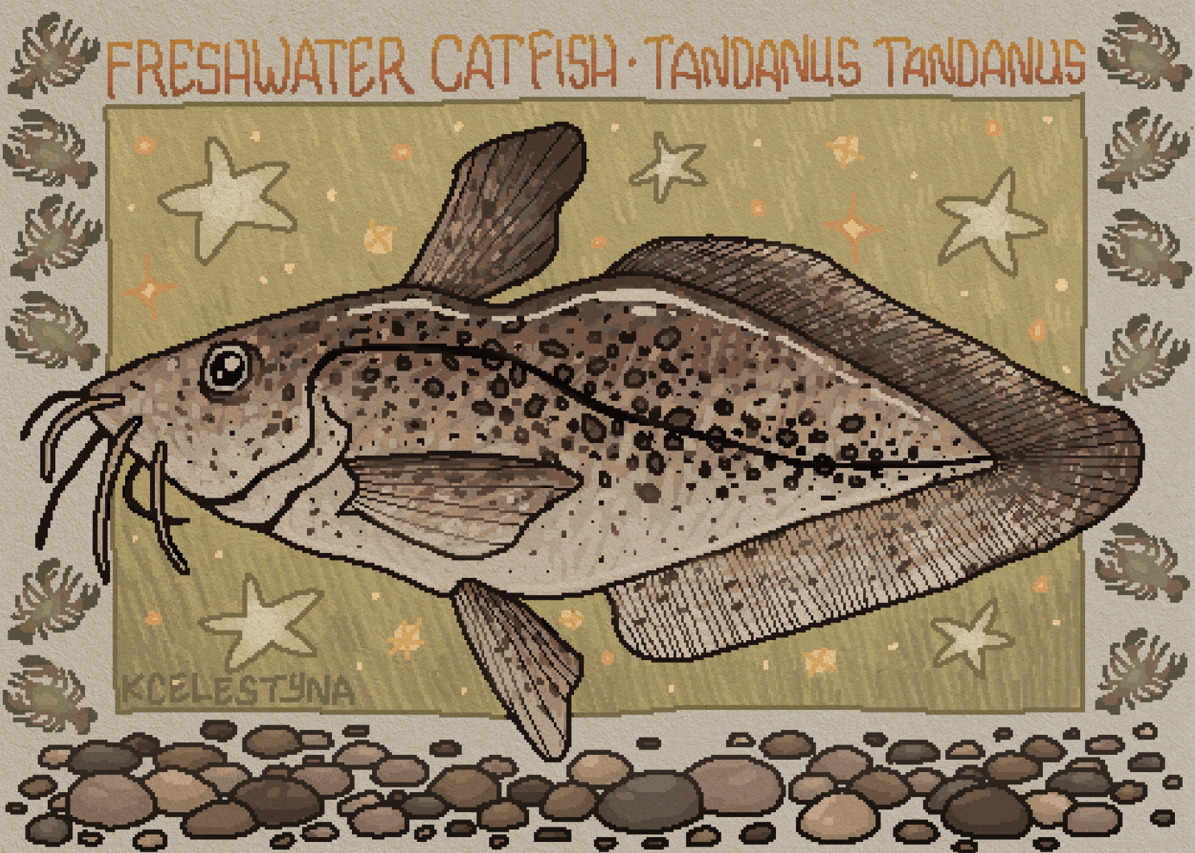 A pixel art illustration of a flathead fish, known as 'FRESHWATER CATFISH - TANDANUS_TANDANUS,' with a background featuring starfish and small creatures, surrounded by rocky ground.