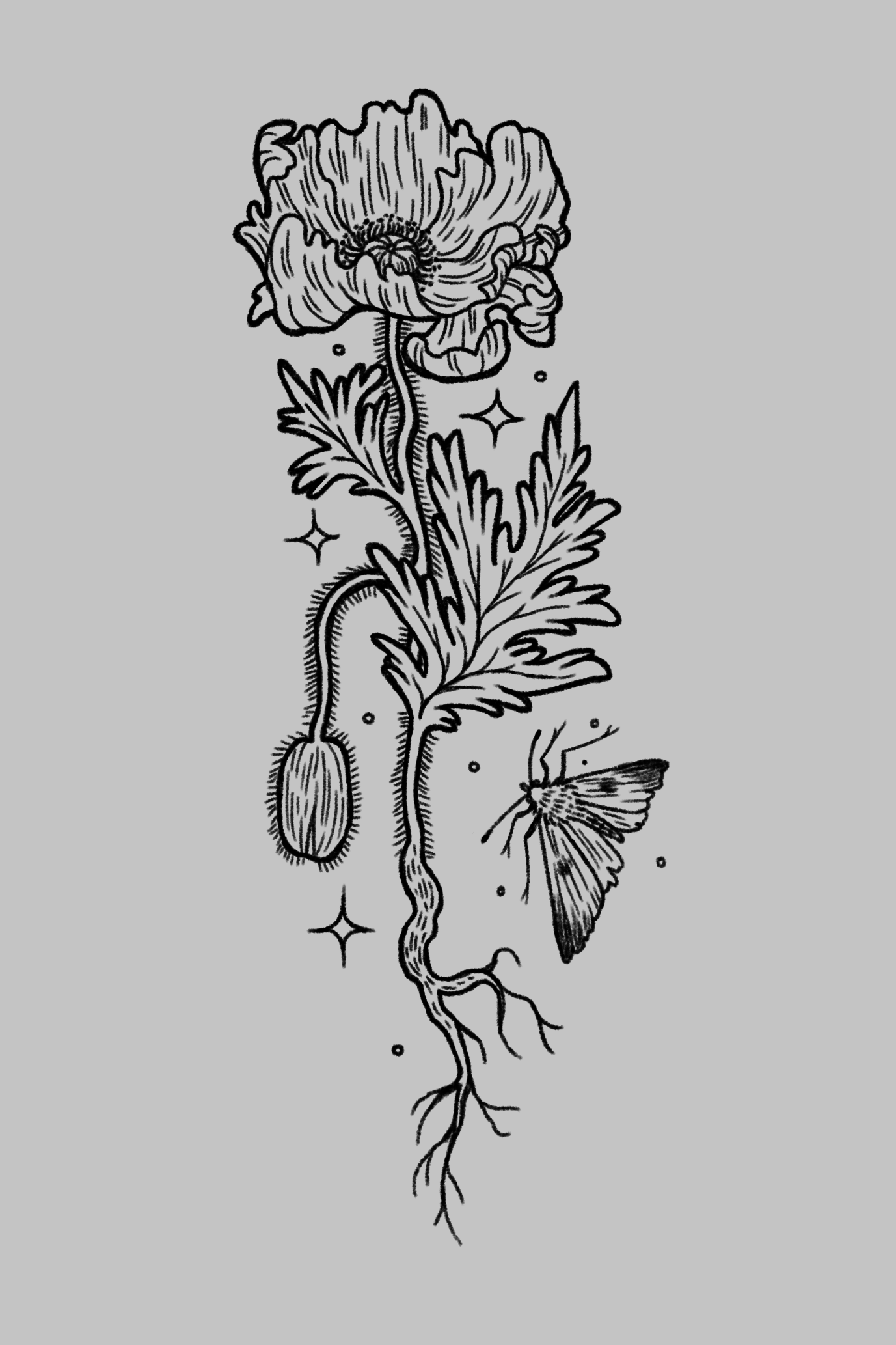 A black and white line drawing of a tall, ornate poppy flower with detailed petals, leaves, and a seed pod, surrounded by small stars and a moth flying nearby.