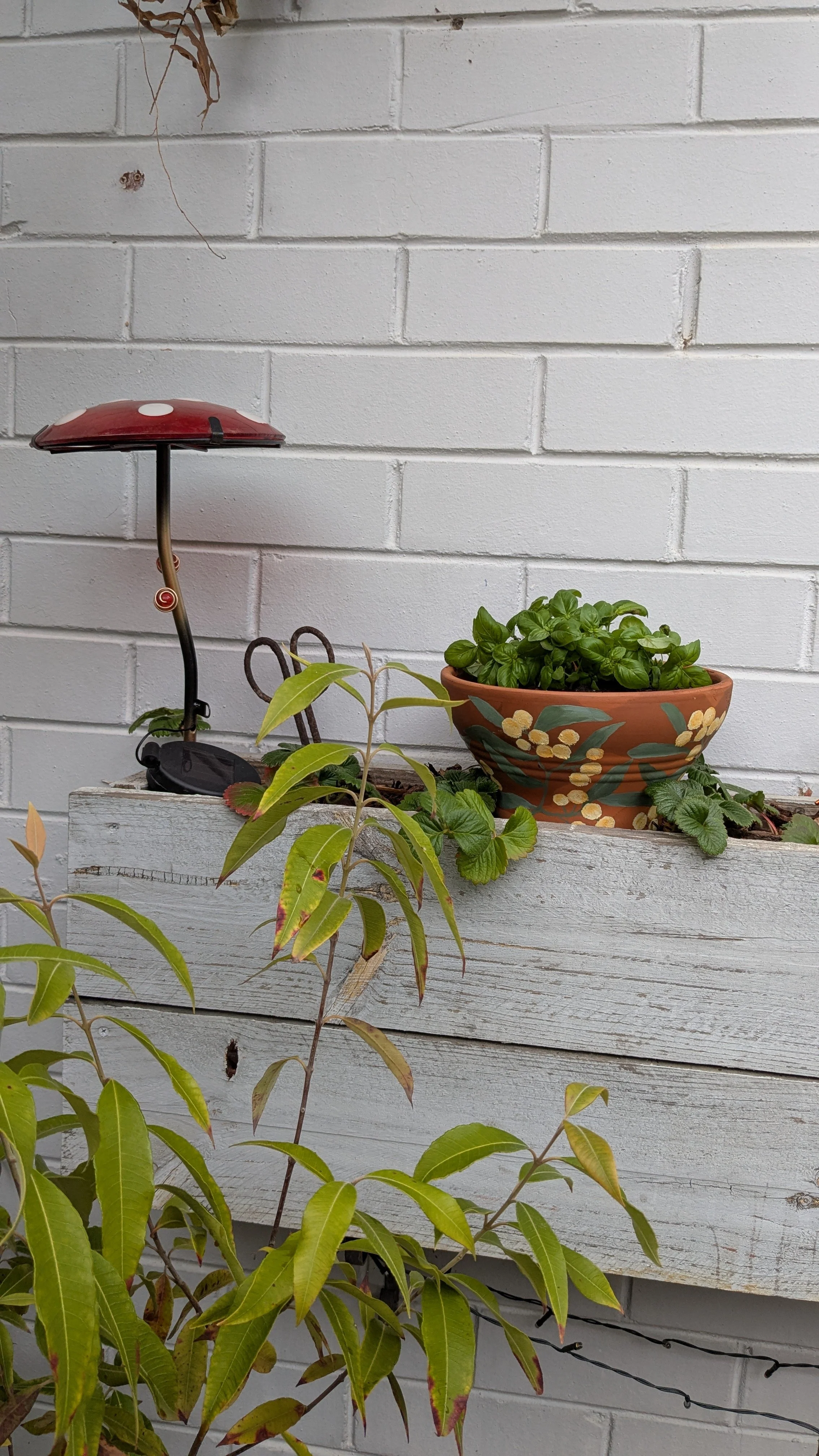 A decorative garden scene with a white-painted wooden planter box containing green plants, a terracotta pot with leafy plants, a small mushroom-shaped garden ornament, and a white brick wall in the background.