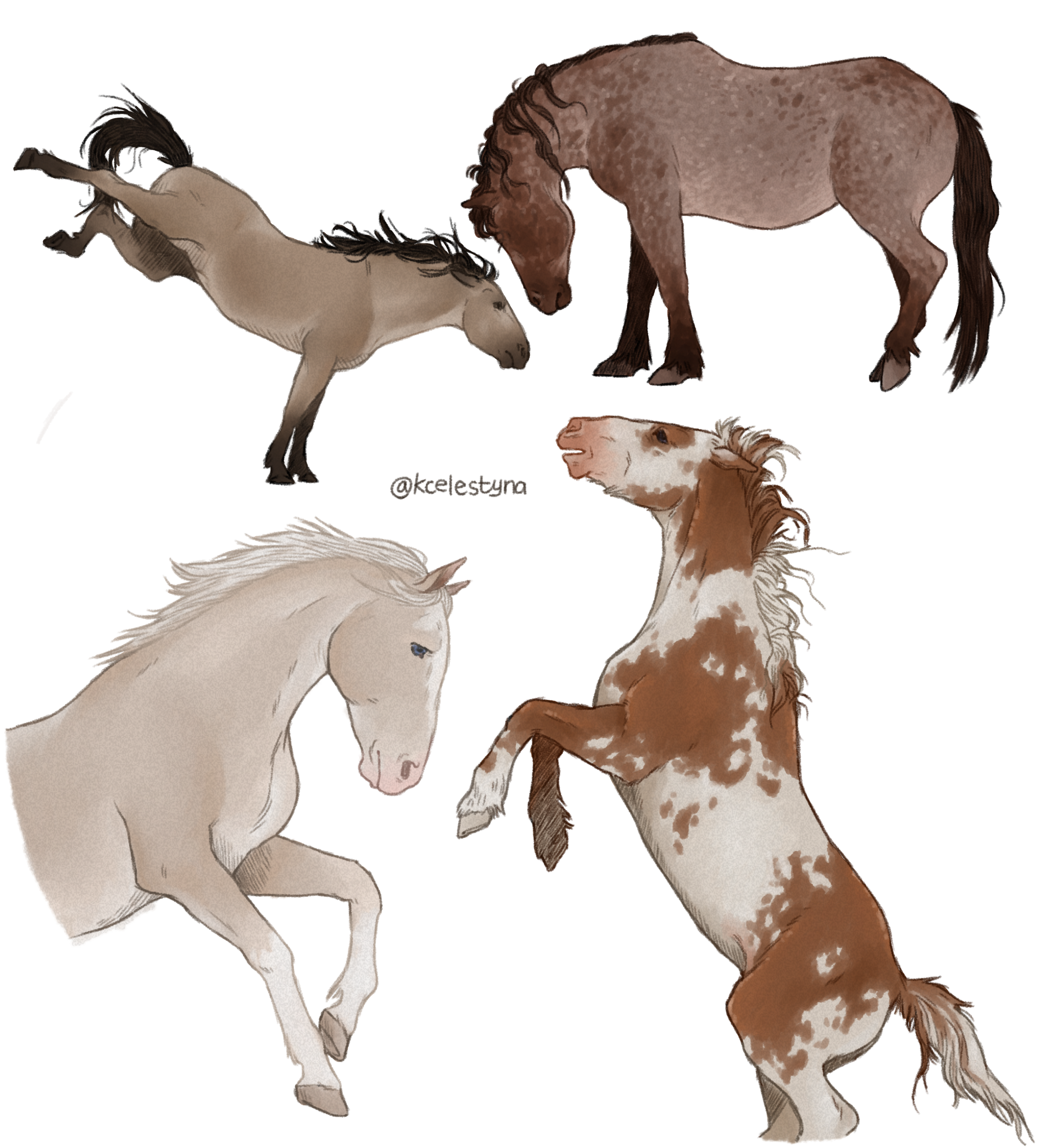 horsies.png