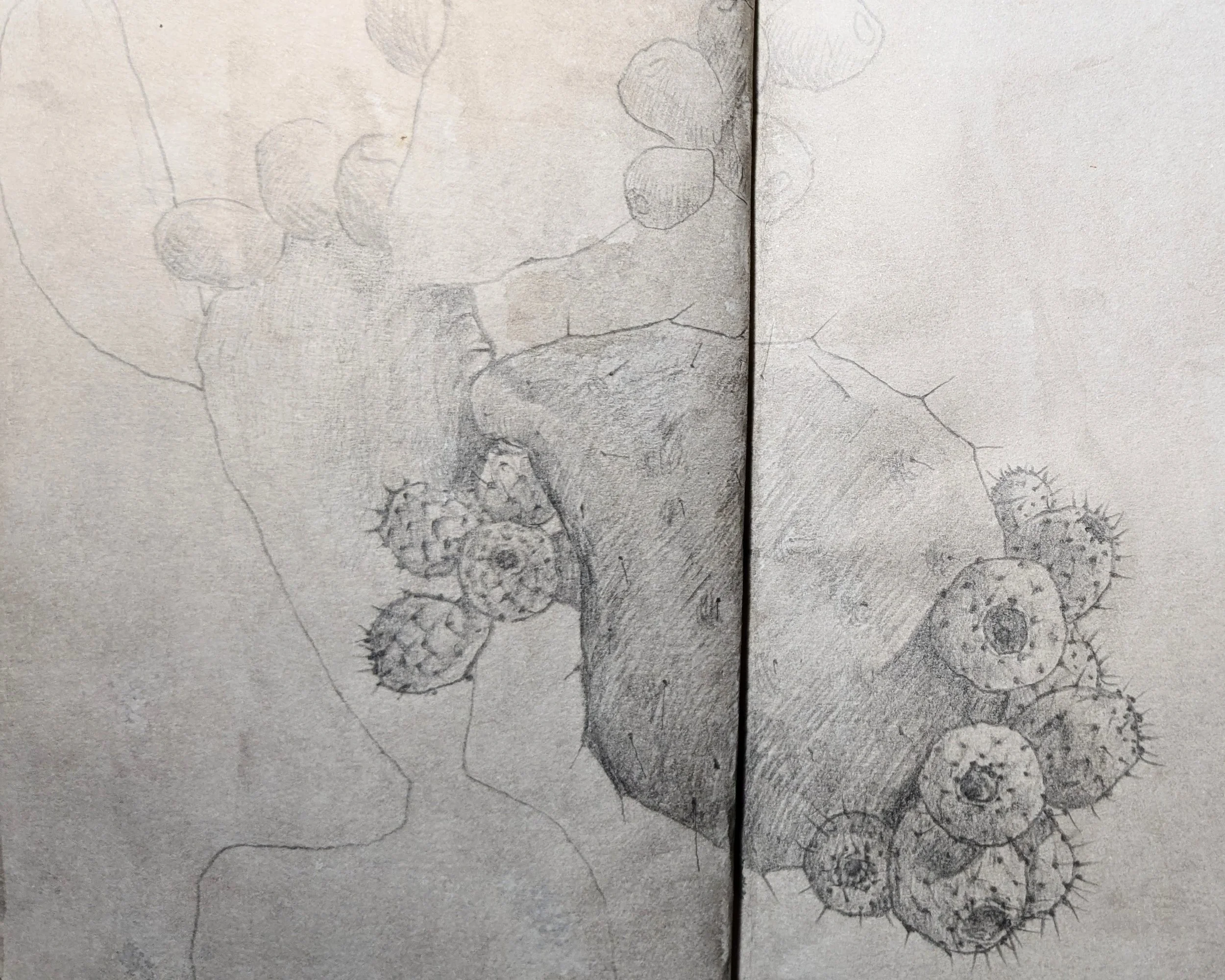 A hand-drawn sketch of various biological cells and microorganisms on a sheet of paper.
