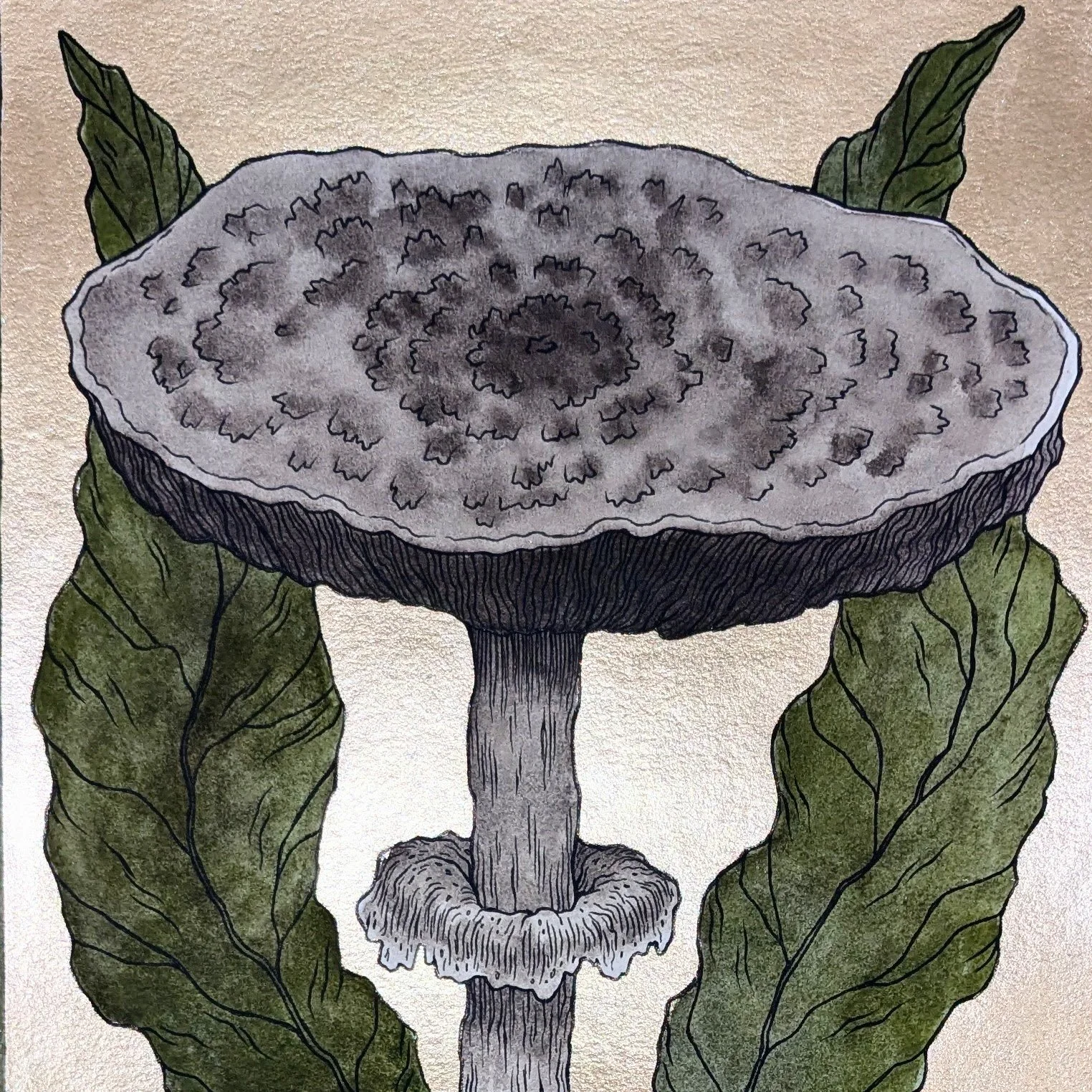 A detailed drawing of a mushroom with leaves surrounding it.