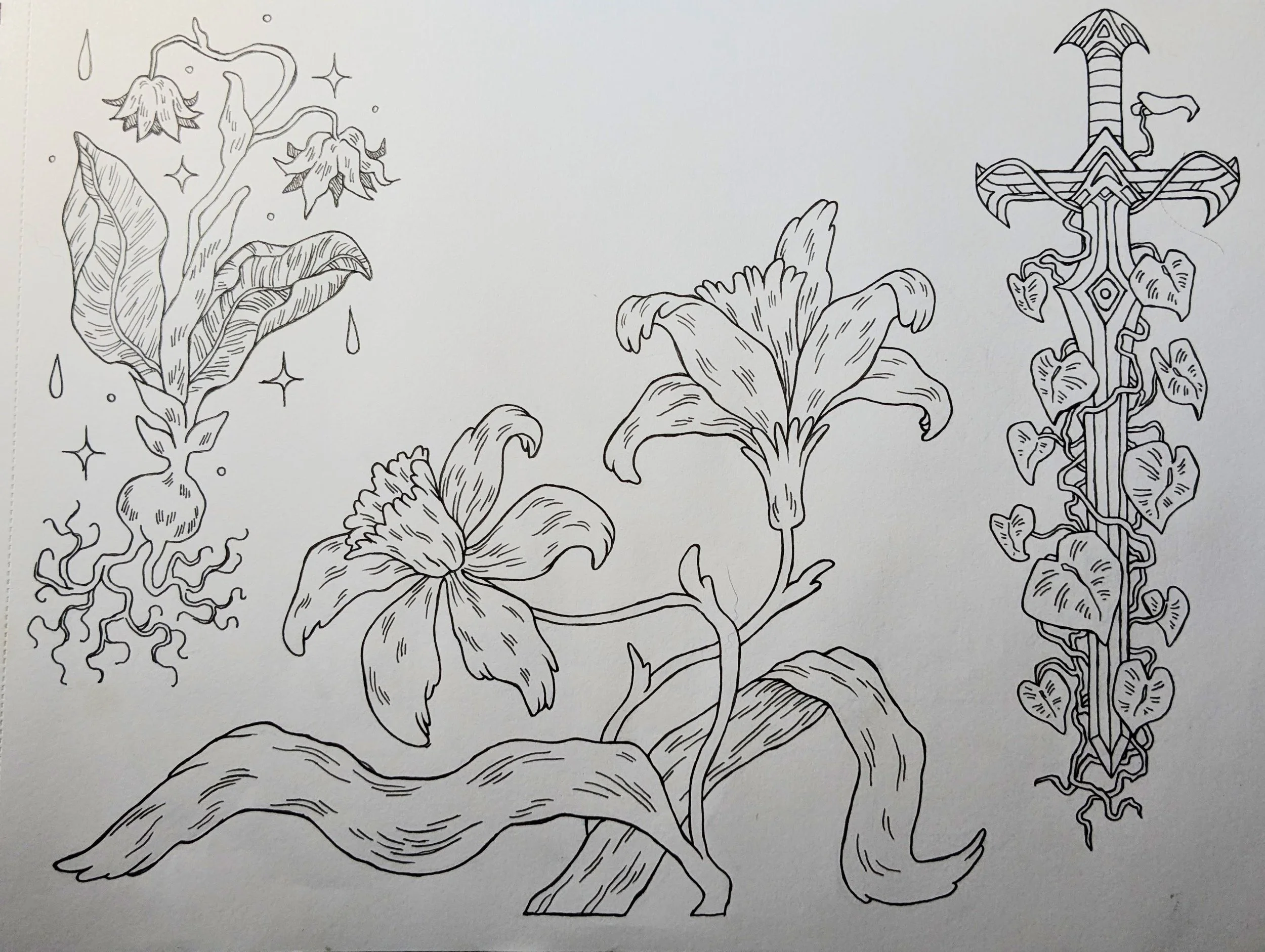Black and white coloring page featuring plants, flowers, and a sword with intricate designs.