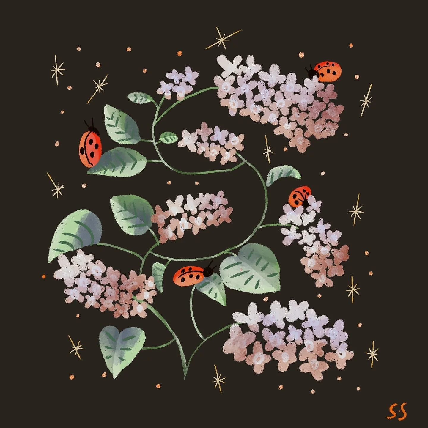 Lilacs and Ladybugs