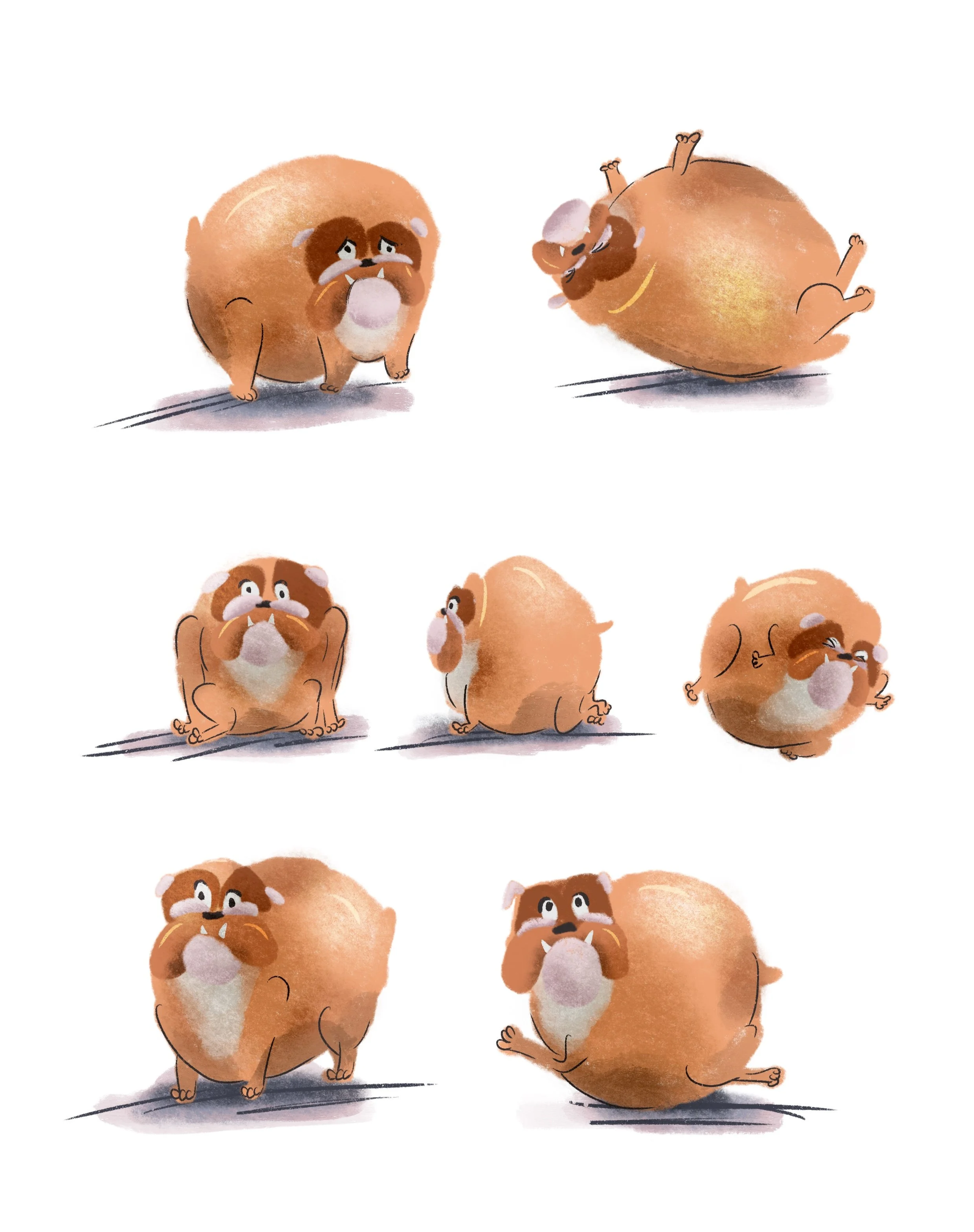 IMG_2494.png