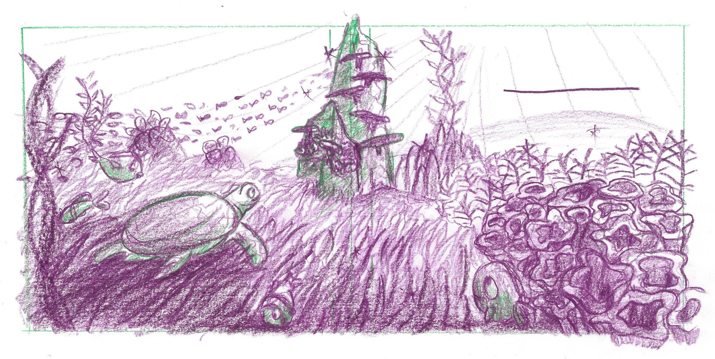 thereefthatcoralbuilt_spreadsketch4.jpg