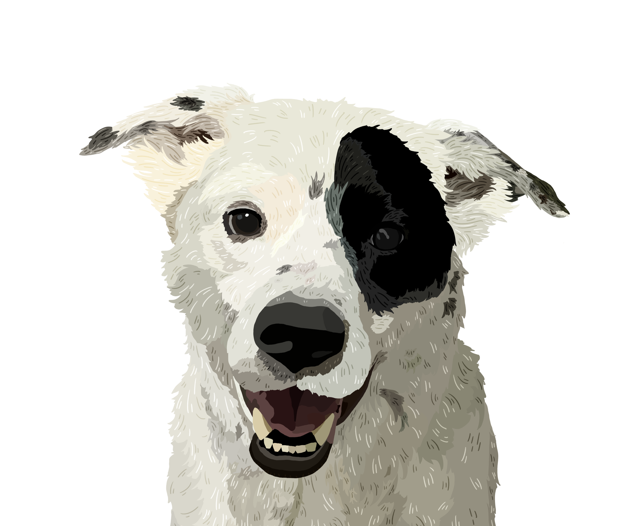 IMG_6260.png