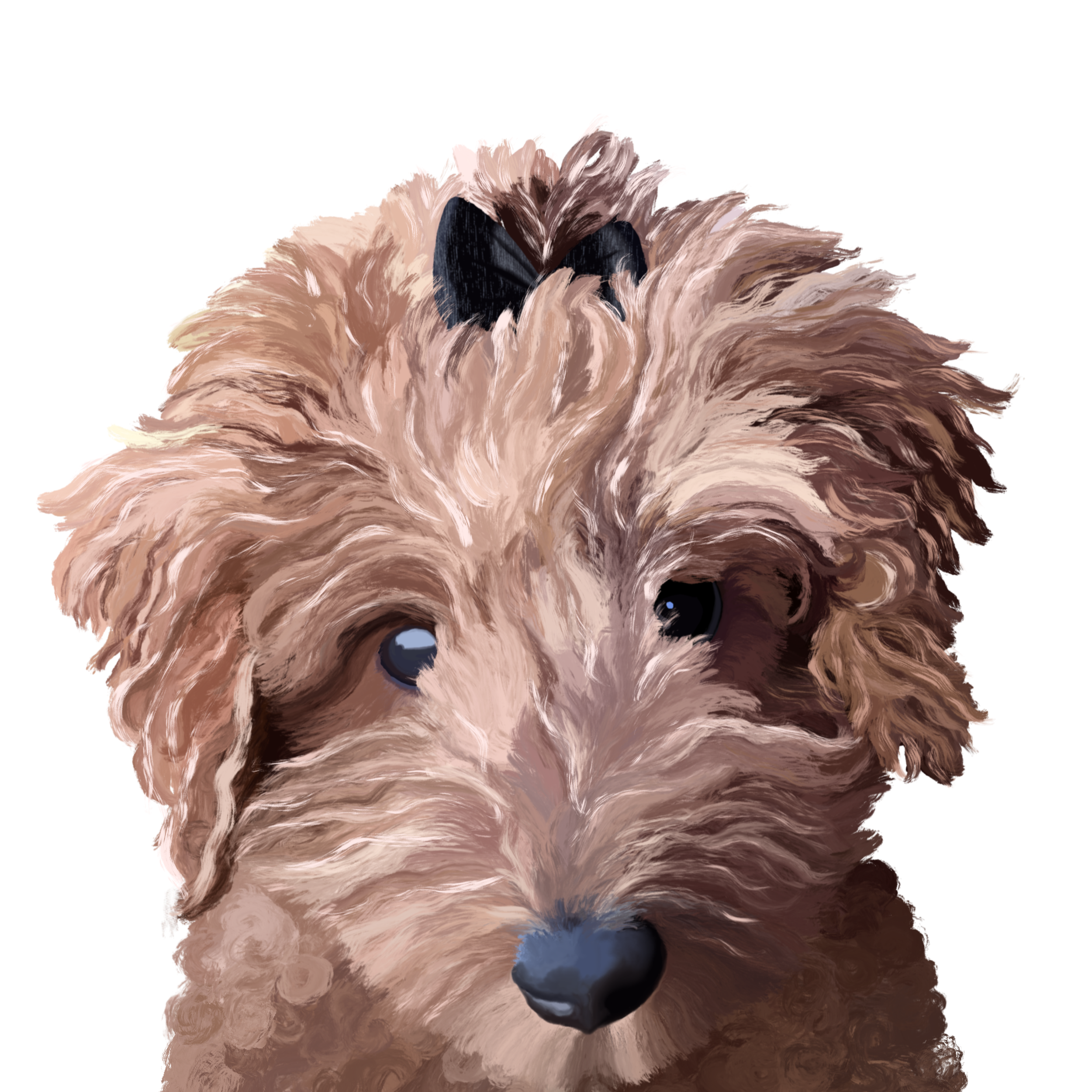 IMG_6245.png